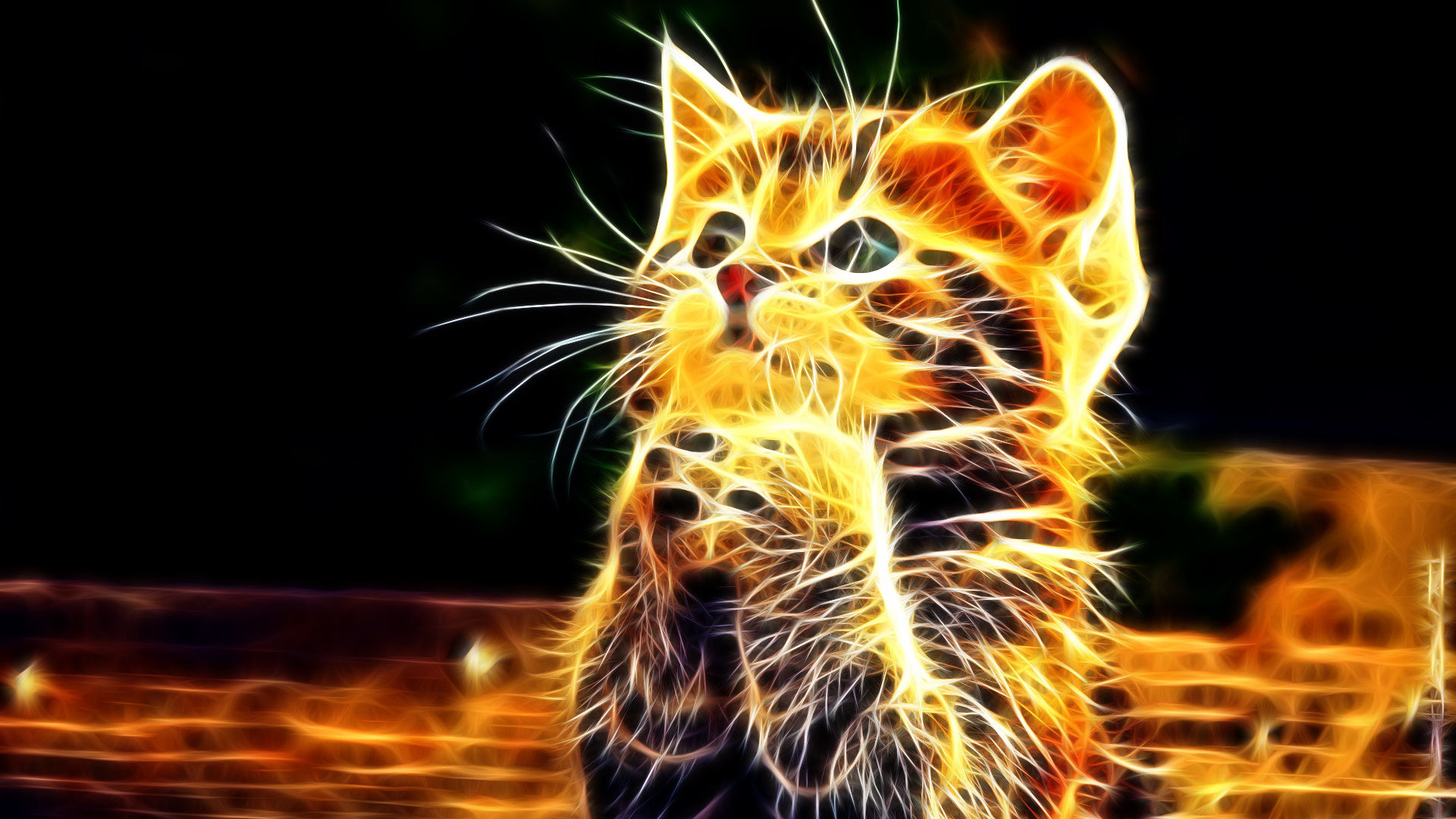3d Cat Wallpaper Image