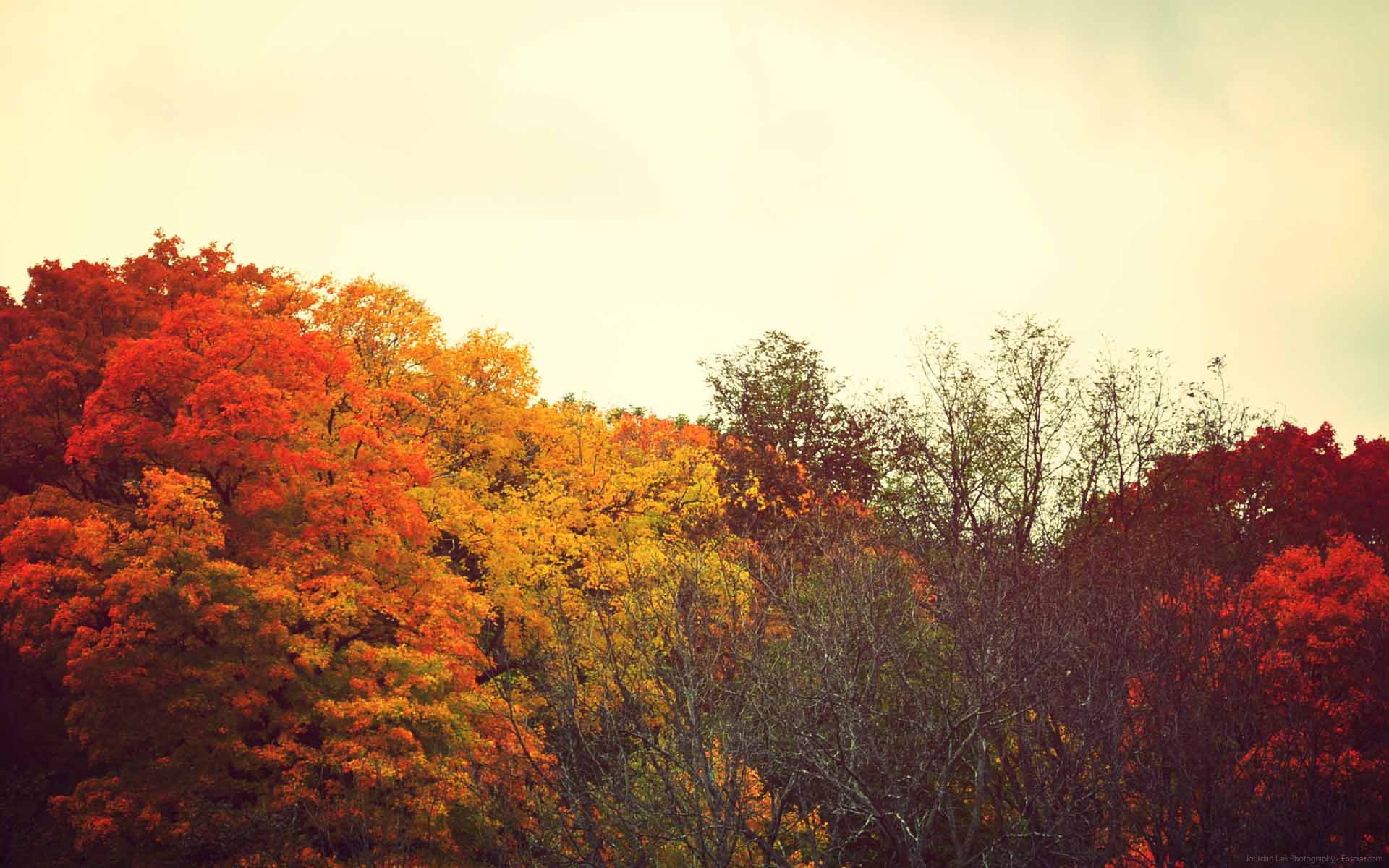 [49+] Fall Wallpaper Backgrounds Tumblr on WallpaperSafari