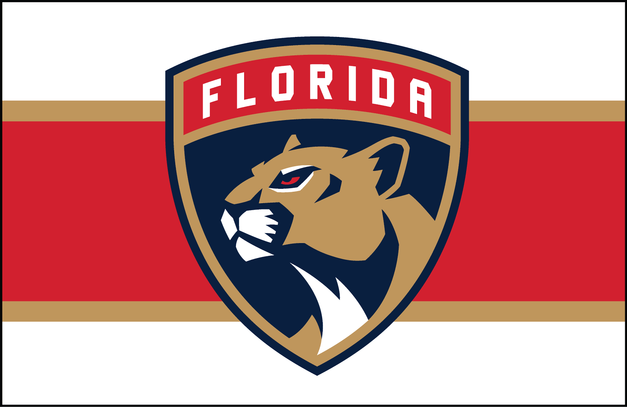 Florida Panthers Wallpaper 11   2560 X 1664 stmednet