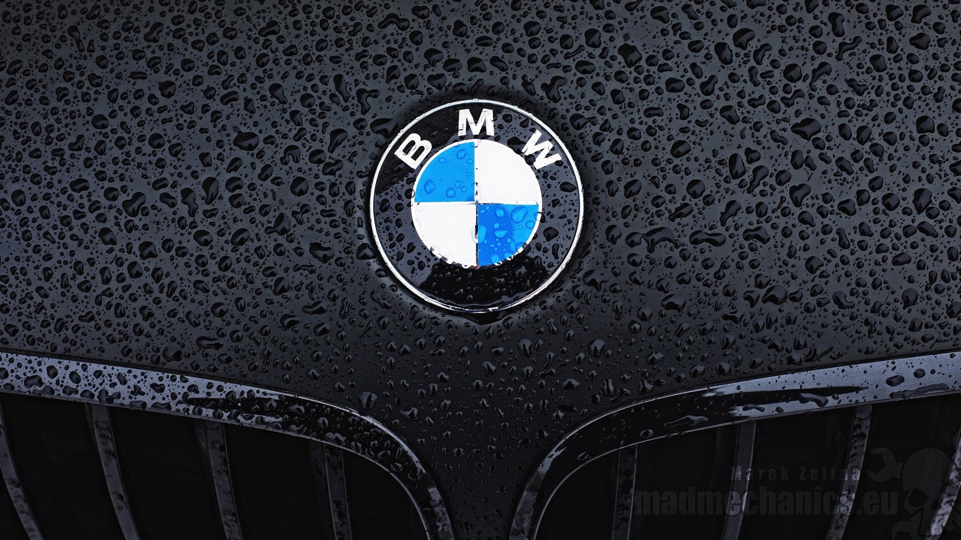 Bmw Logo Wallpaper Hd Download