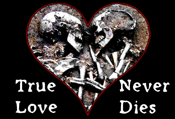 True Love Never Dies Cross Wallpaper Skull Wallpaper - vrogue.co