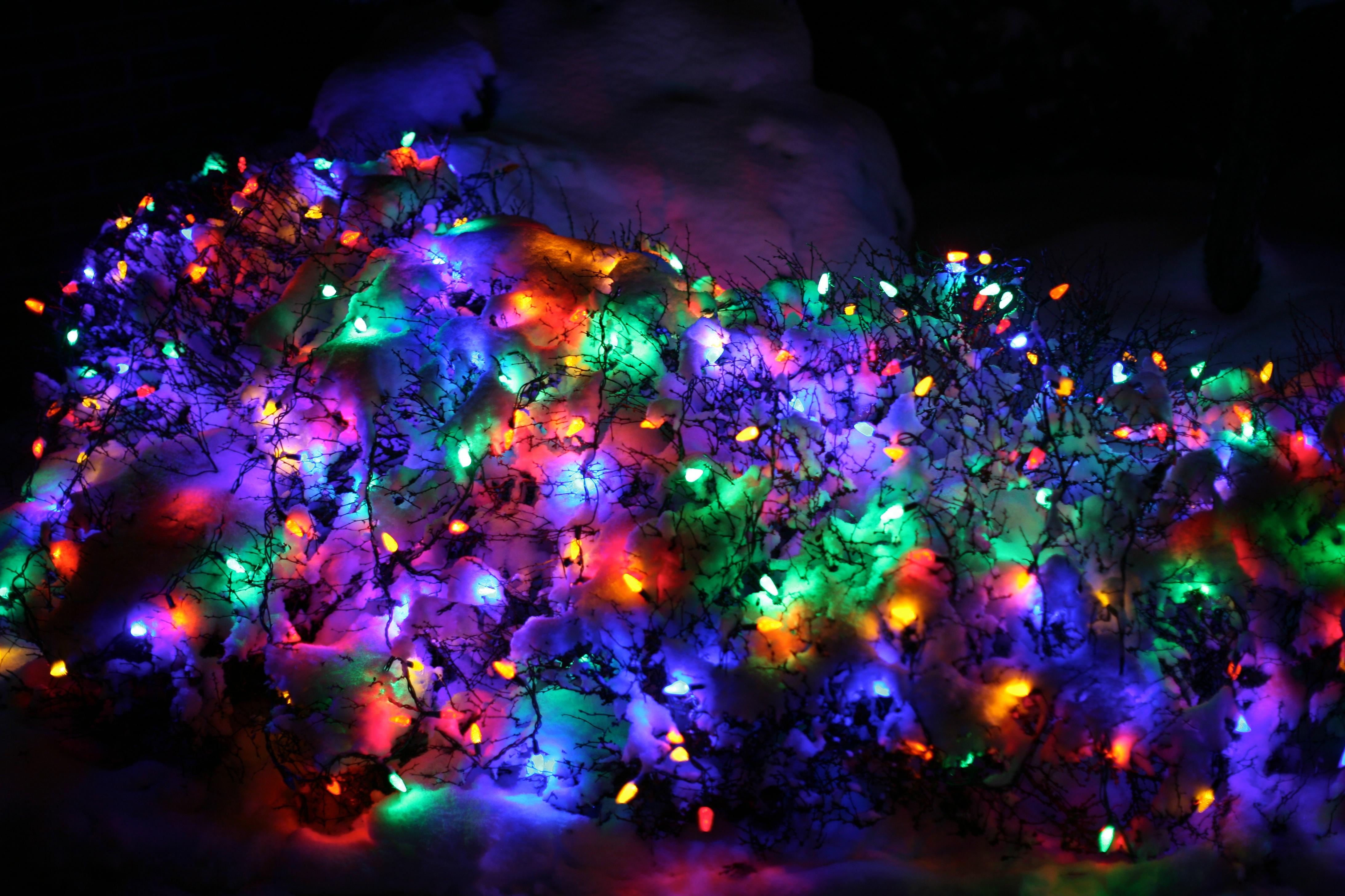 Christmas Lights In Snow Ruth E Hendricks Photography