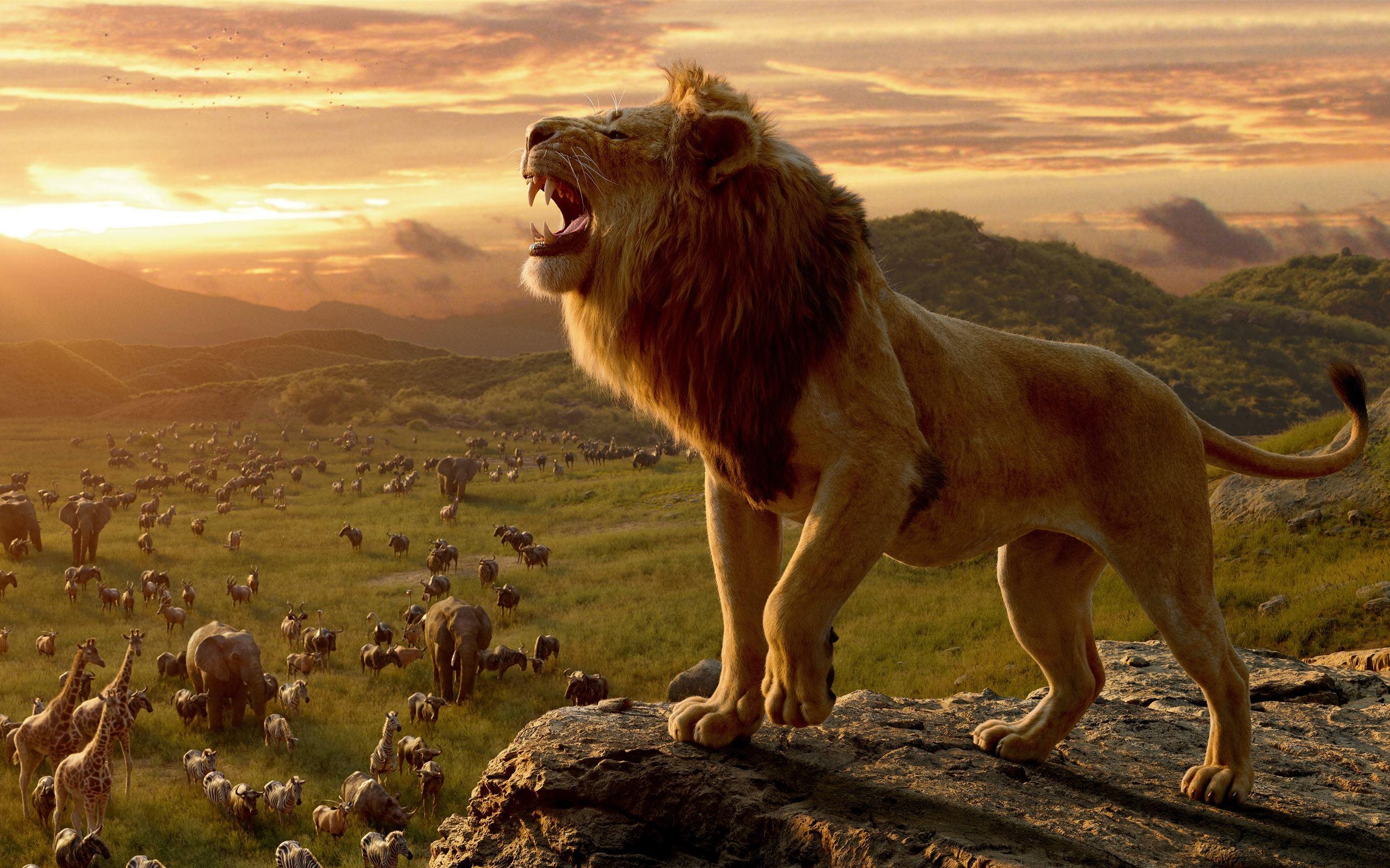 The Lion King Movie 10k Macbook Air Wallpaper