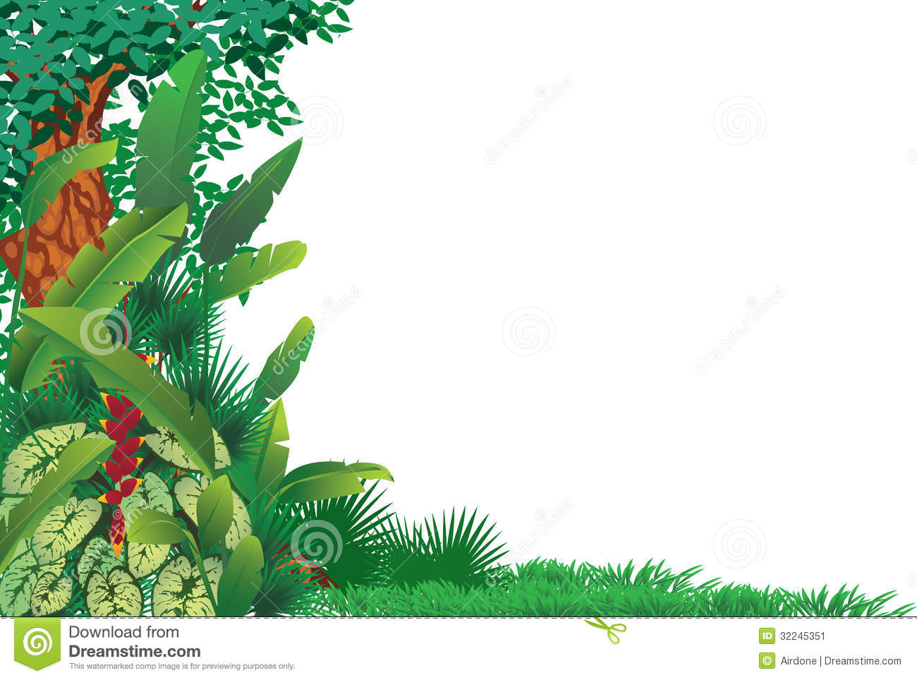 Tropical Border Clipart Exotic Forest