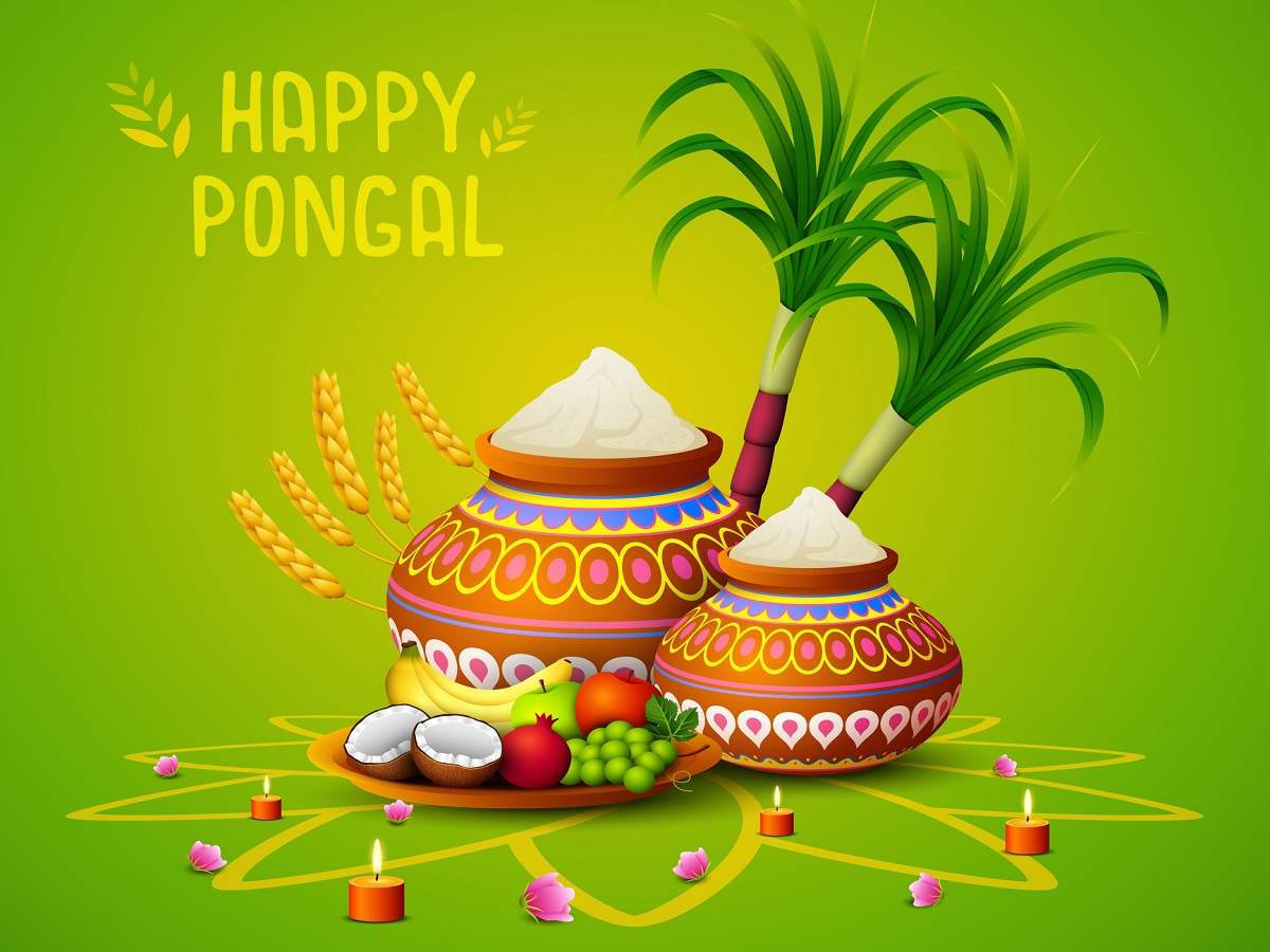 Happy Pongal Wishes Messages Quotes Image