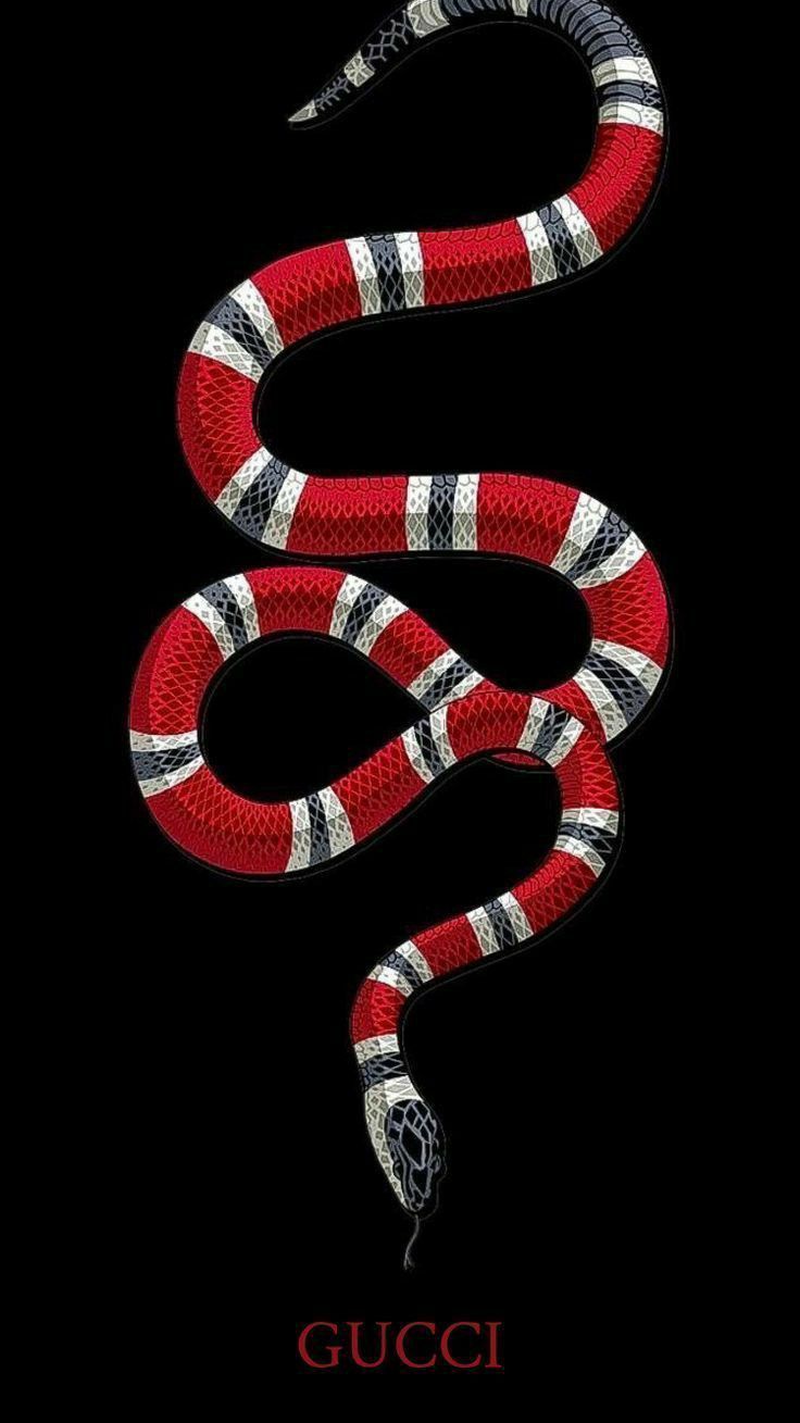Gucci snake HD phone wallpaper  Peakpx
