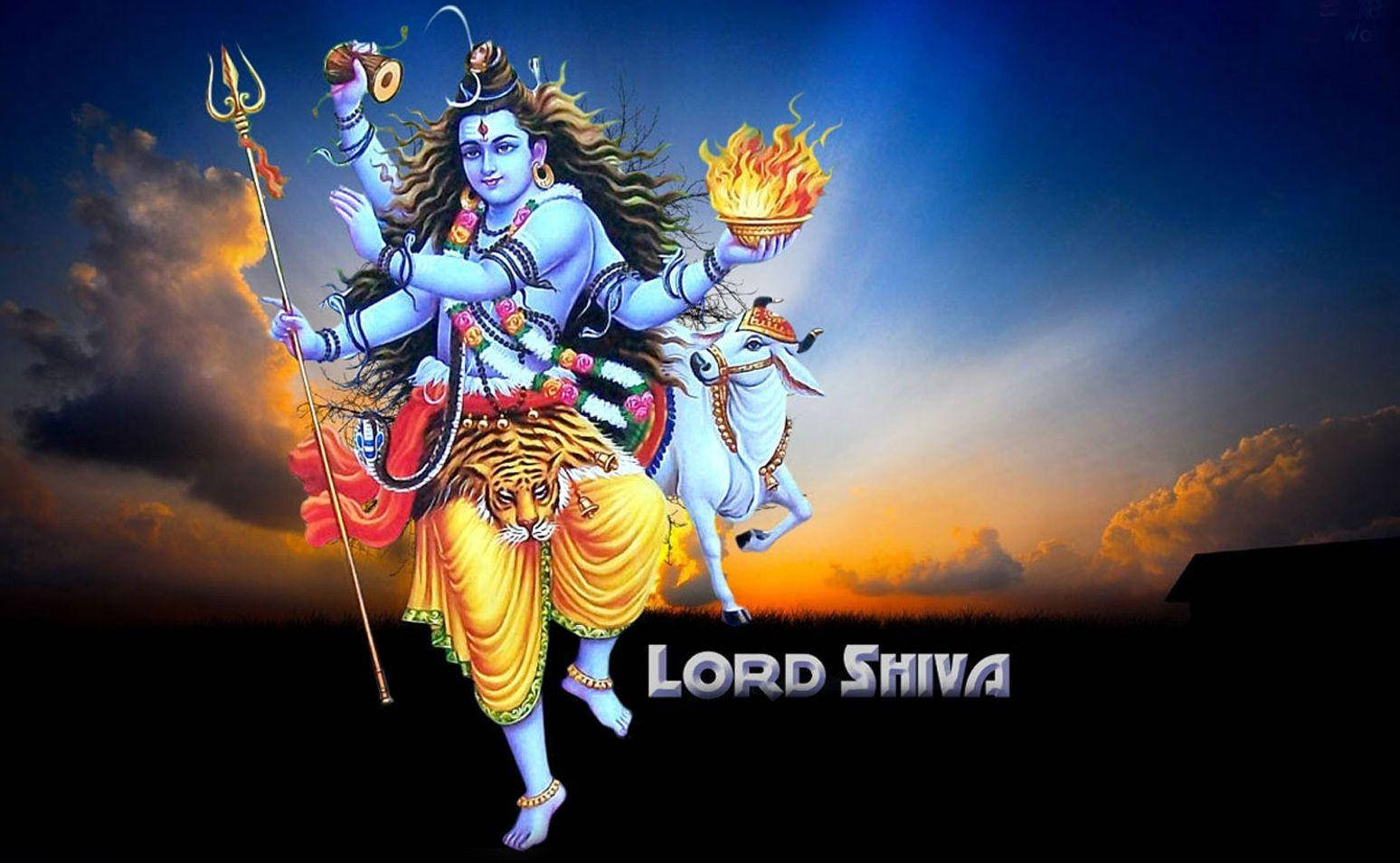Shiva Wallpaper