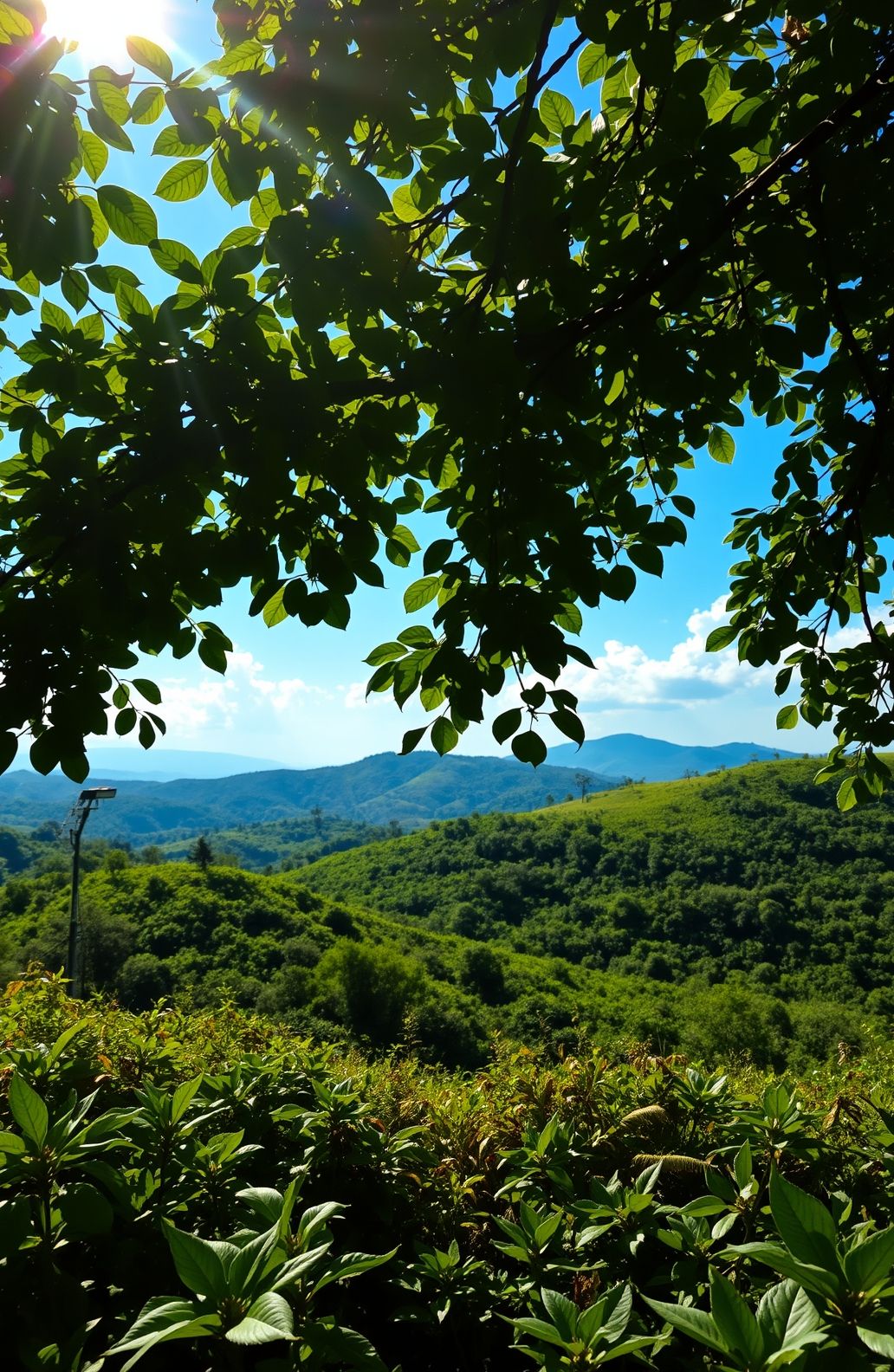 Green Space Wallpaper