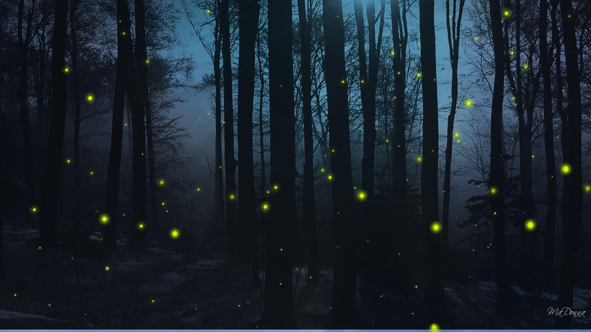 Fireflies Wallpaper