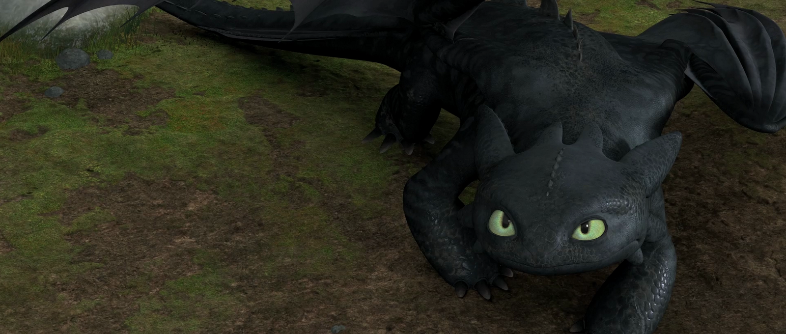 Wikia Wiki File Toothless Png