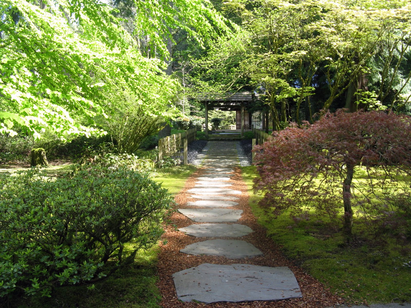 Zen Garden Desktop Background