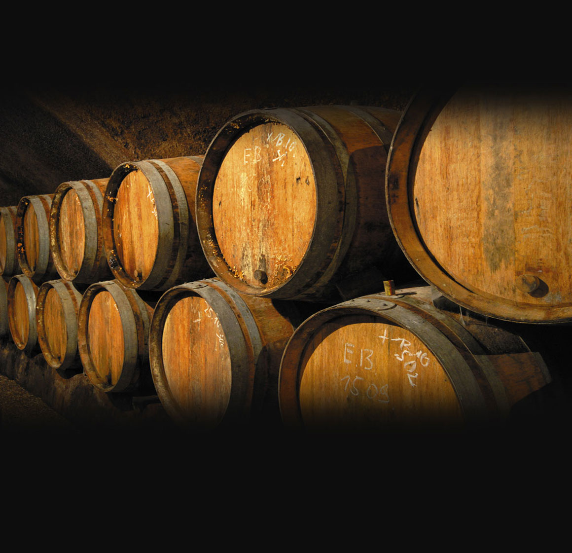 Wine Barrels American institute of wine