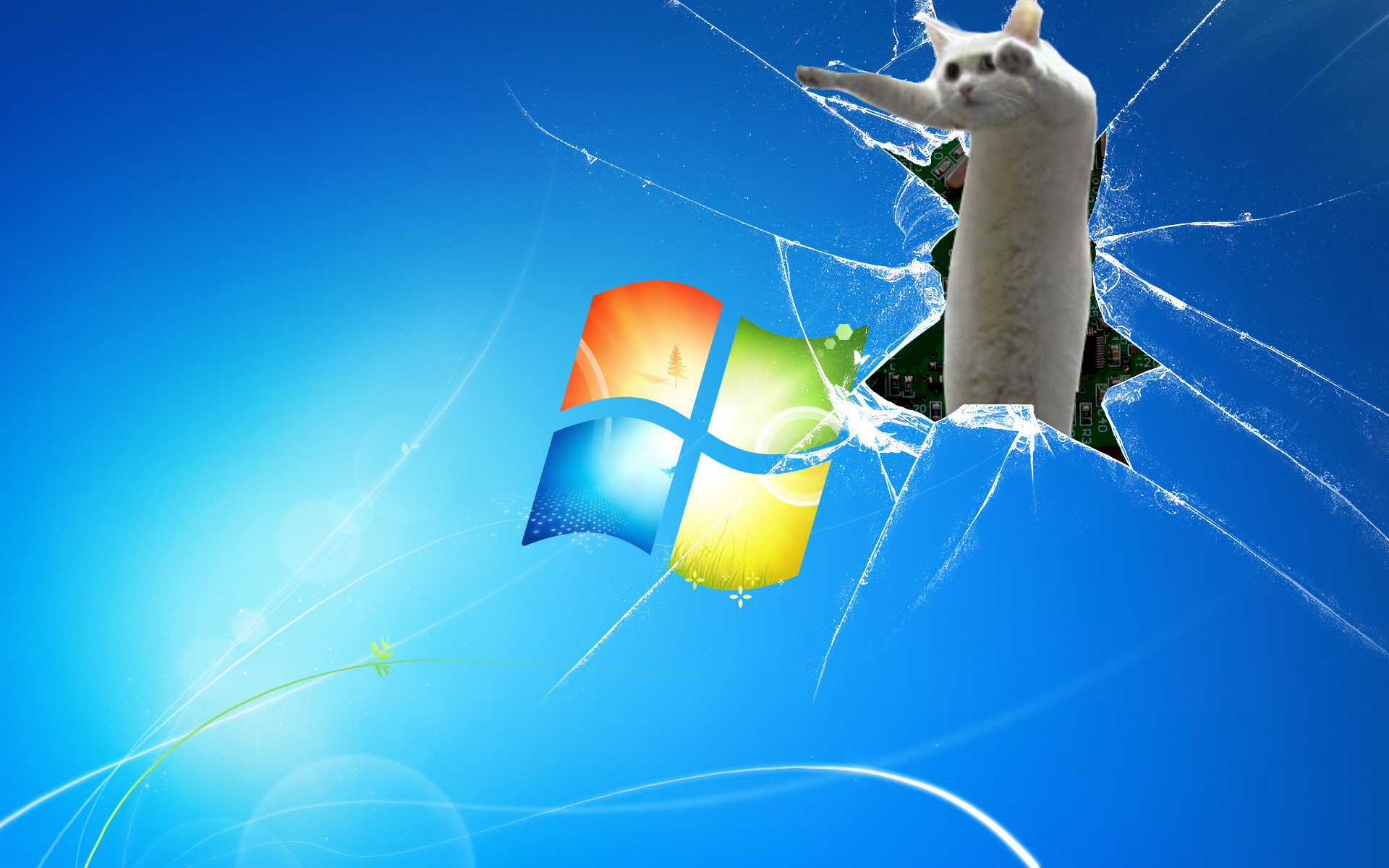 Meme Background Picture Wallpaper