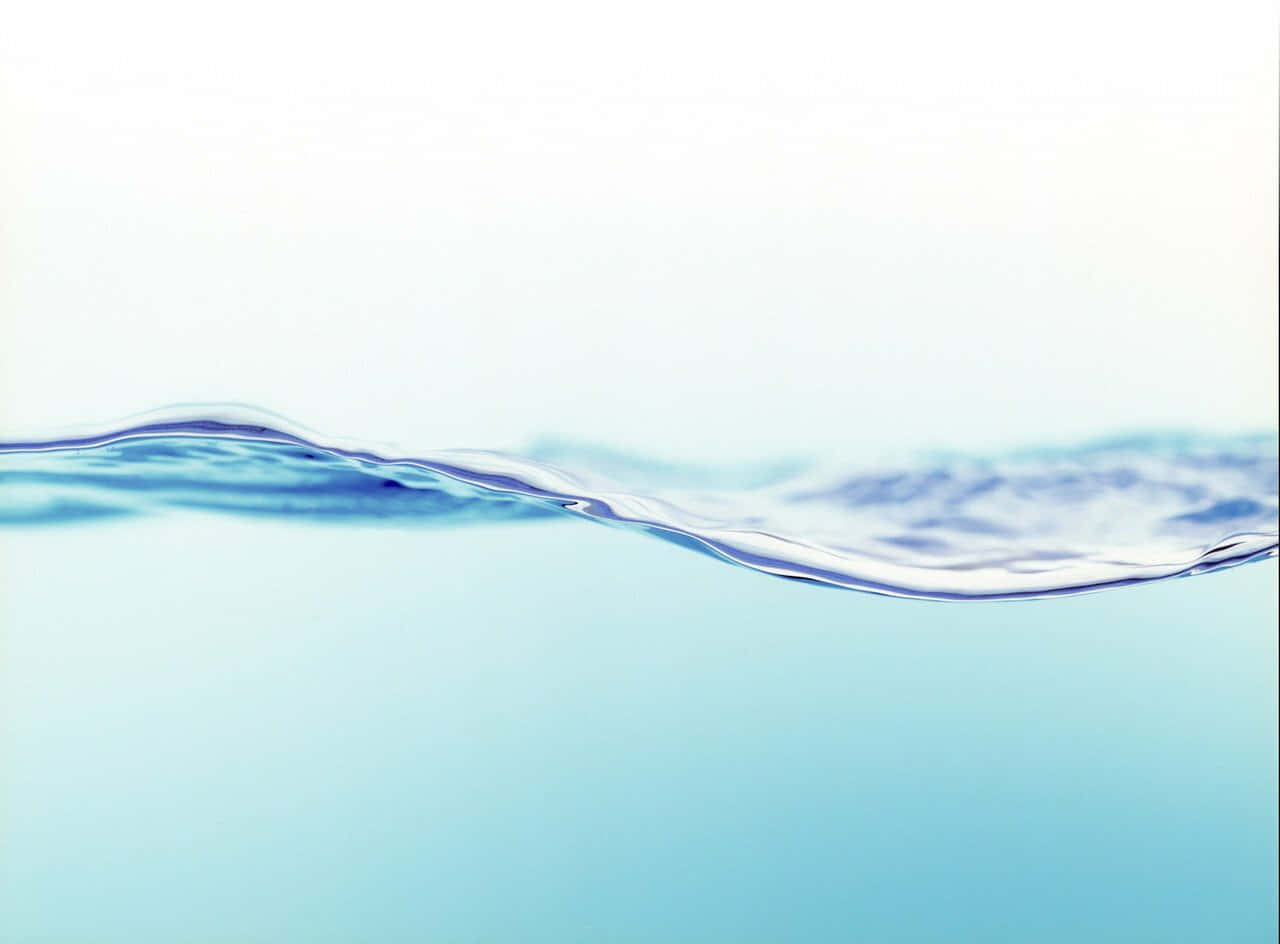 Stay Hydrated Wallpaper