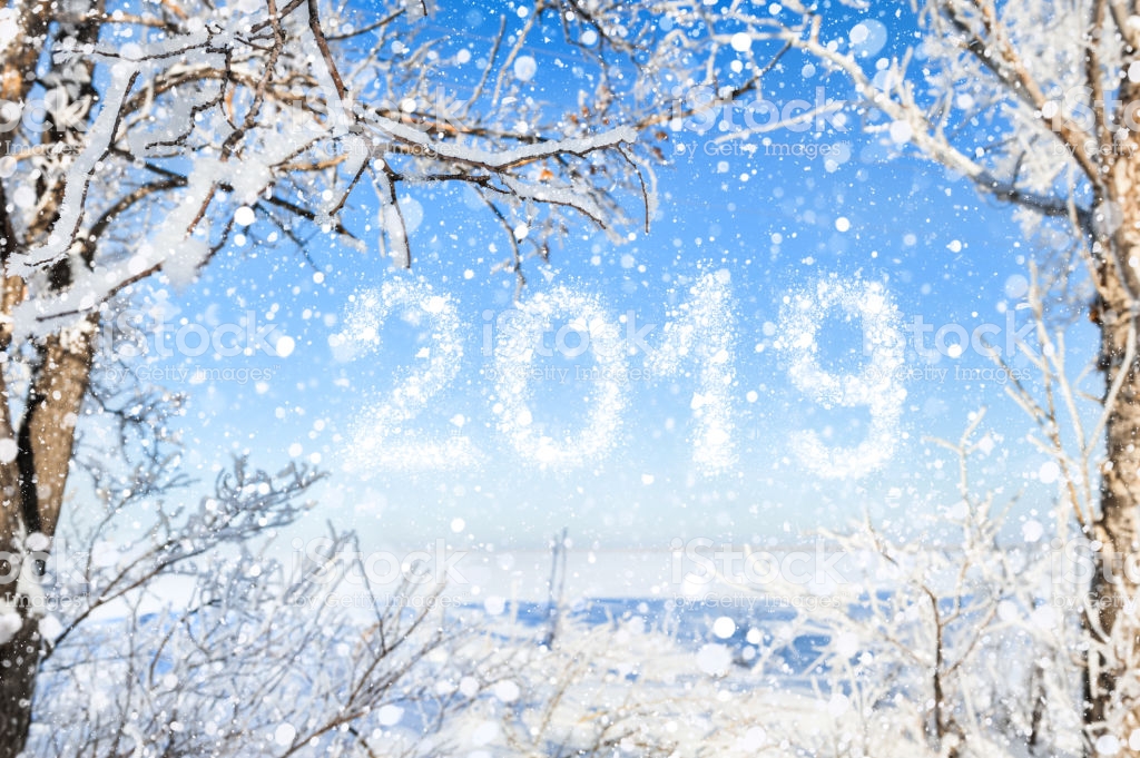 2019 New Year Snow Inscription On Winter Nature Background Stock