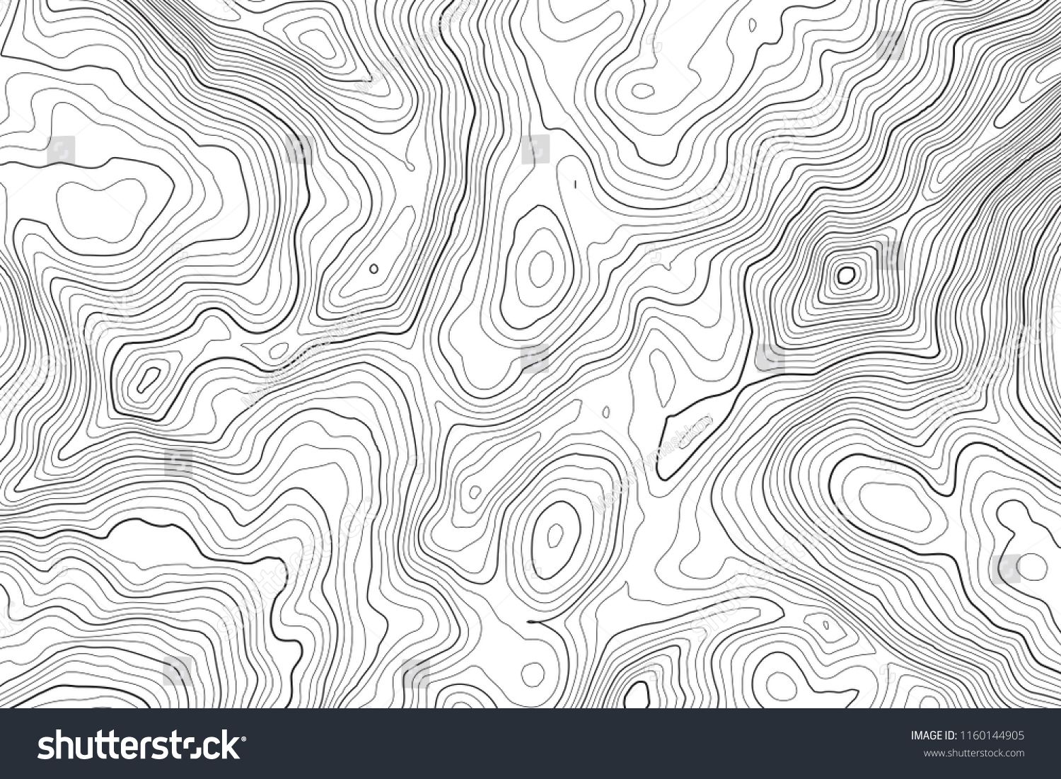 Vector Contour Topographic Map Background Topography And