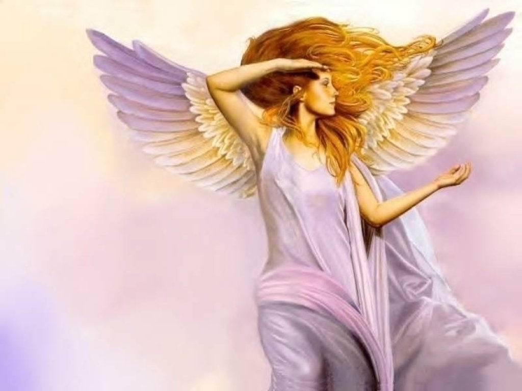 Beautiful Pictures Of Angels HD Wallpaper