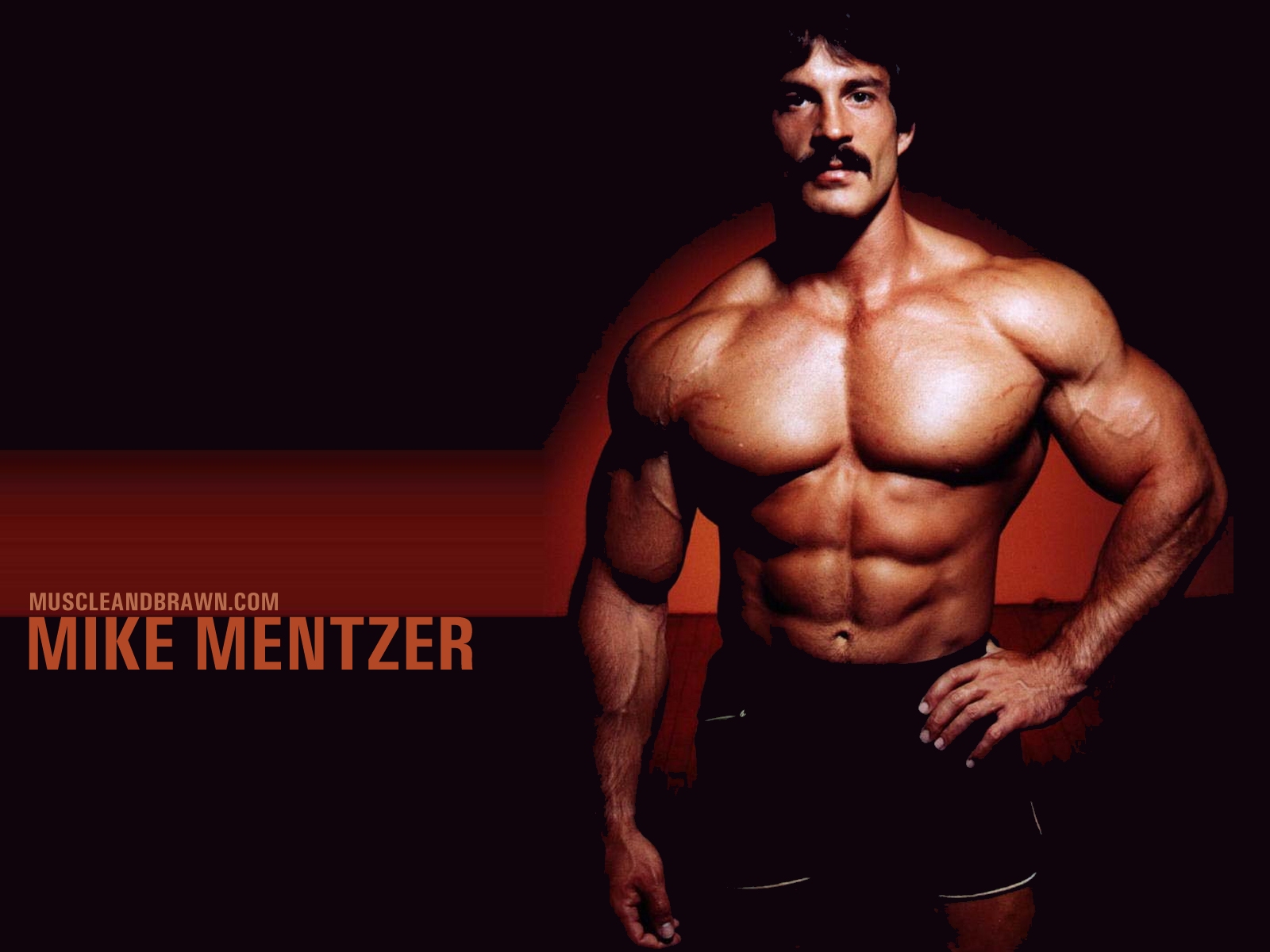 Mike Mentzer Wallpaper   Muscle and Brawn