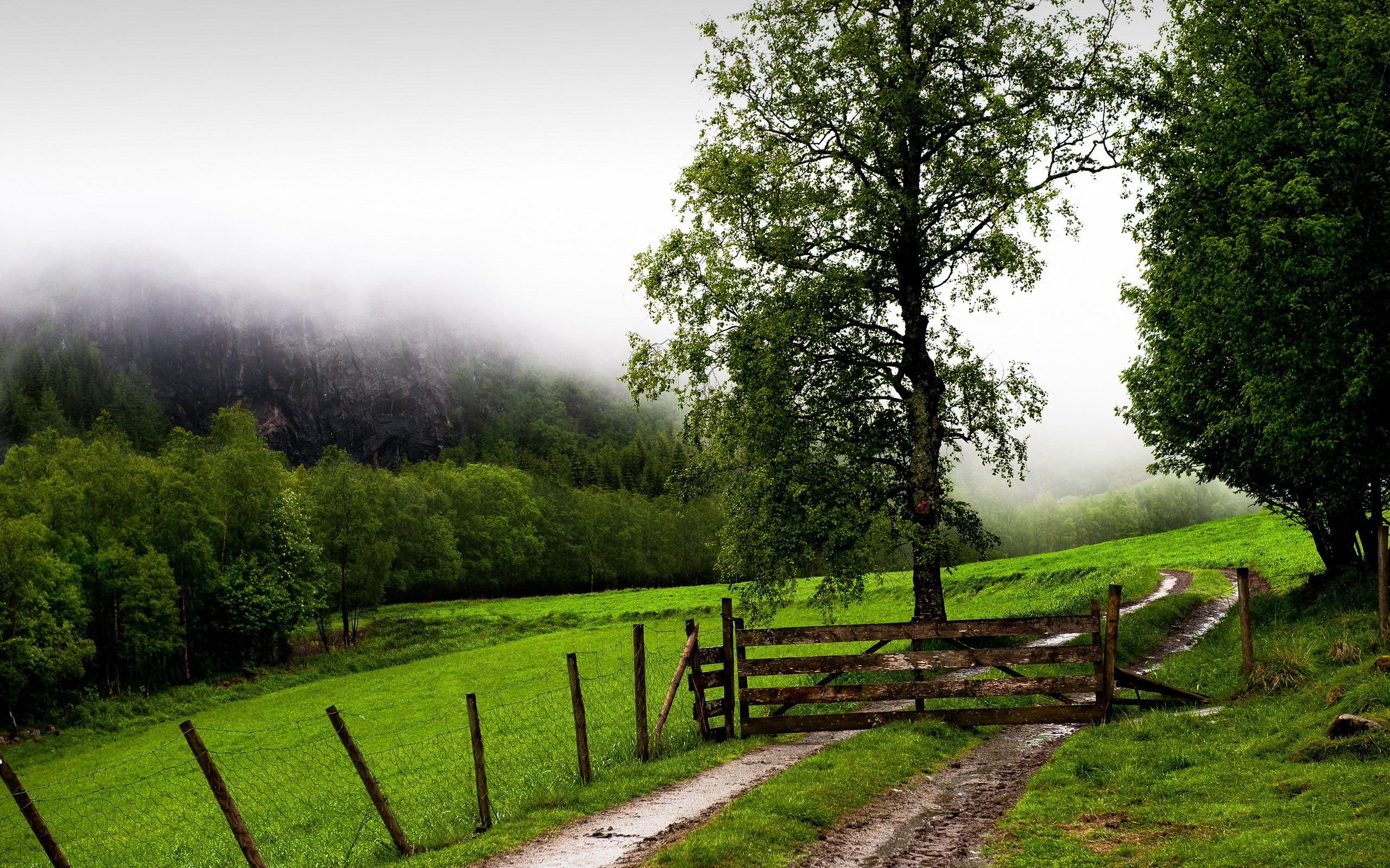 Daily Wallpaper Foggy Ranch I Like To Waste My Time
