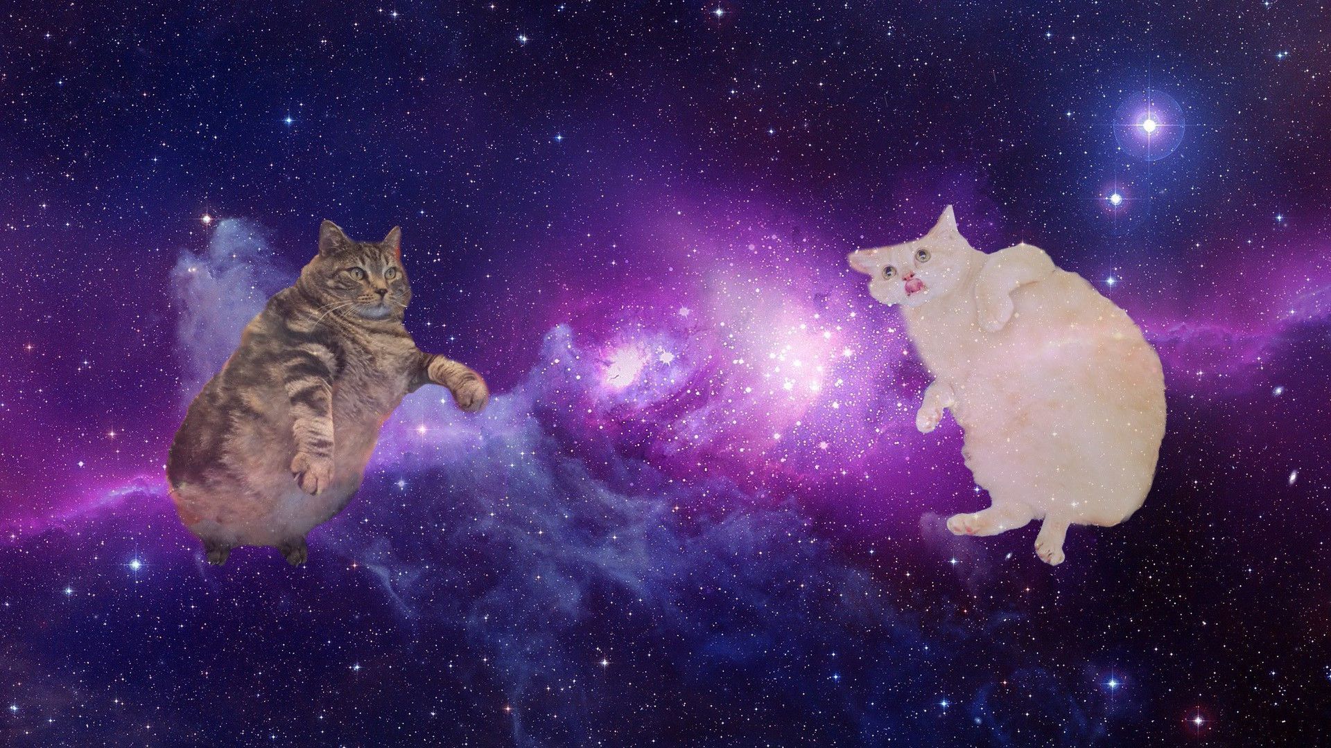 Galaxy Cat Desktop Wallpaper On