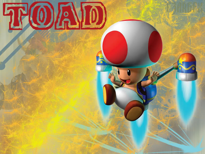 Toad Wallpaper Desktop Background