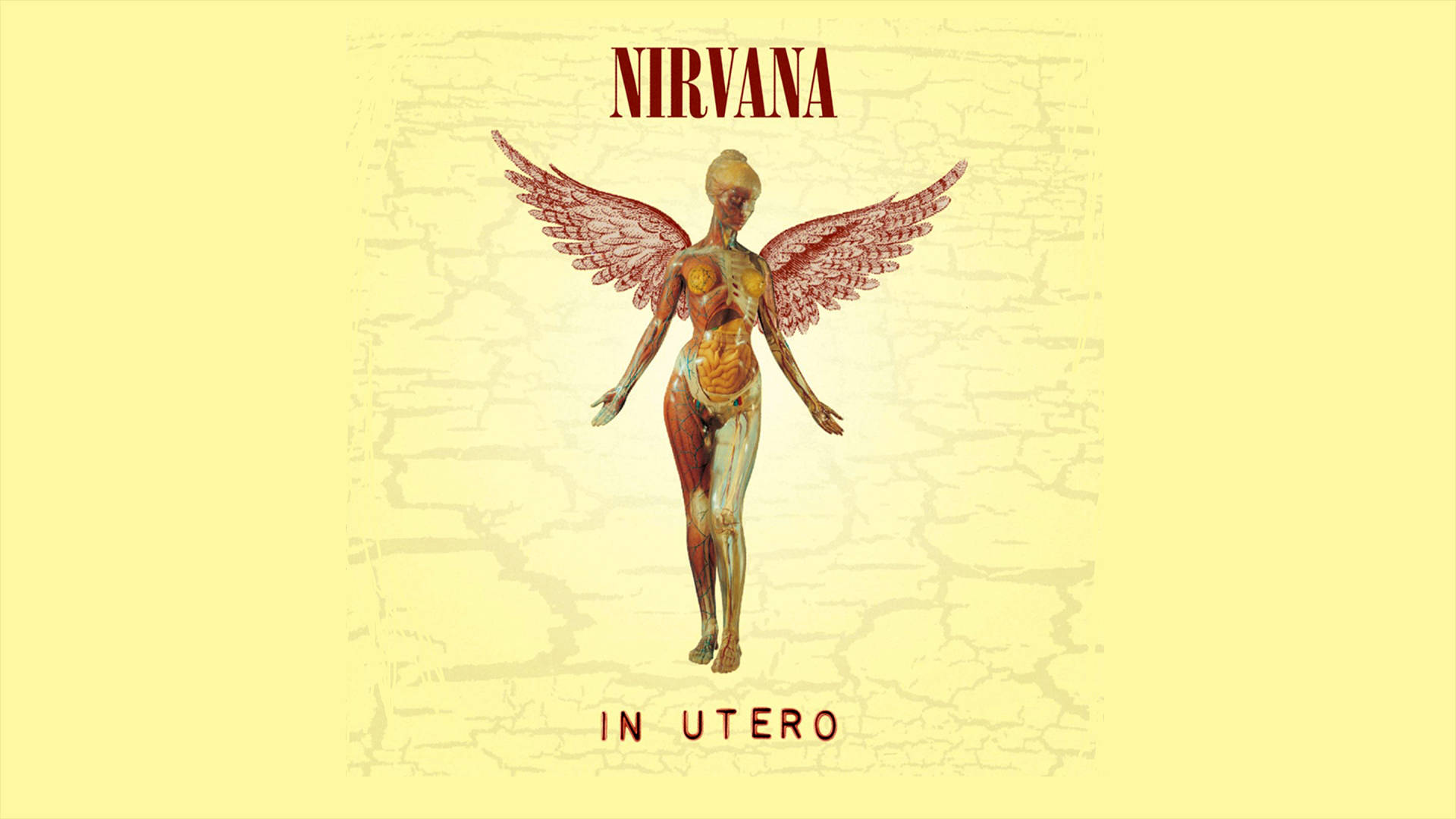 Nirvana 4k Wallpaper