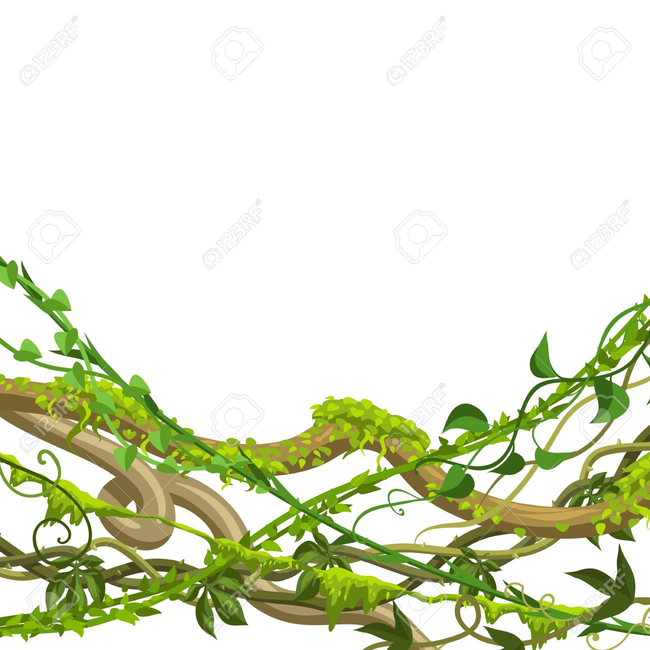 Twisted Wild Lianas Branches Background Jungle Vines Plants