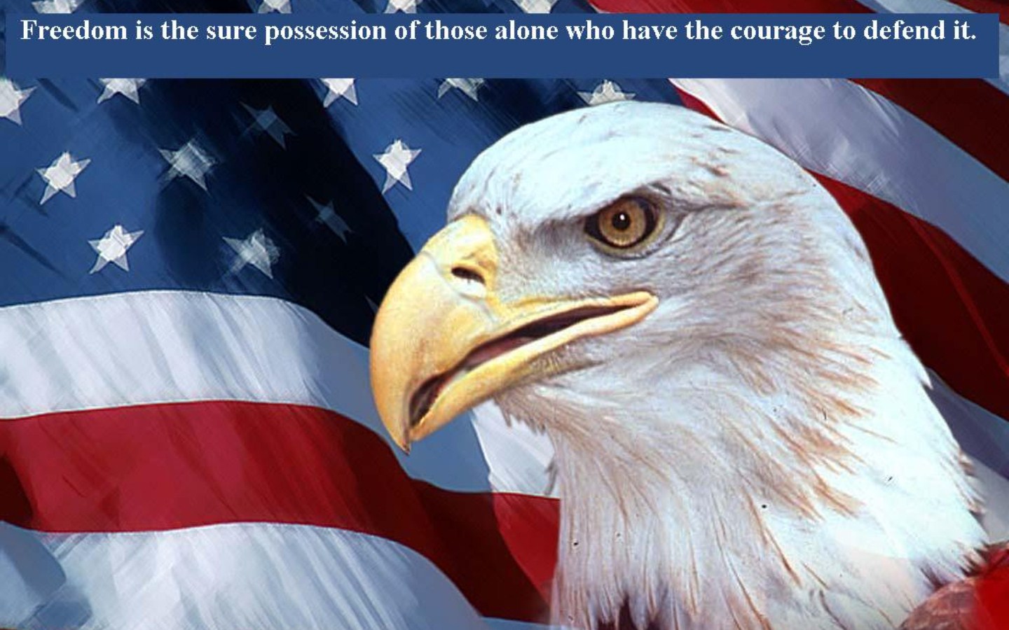  wallpaper for Windows XP Courage Bald Eagle and American Flag