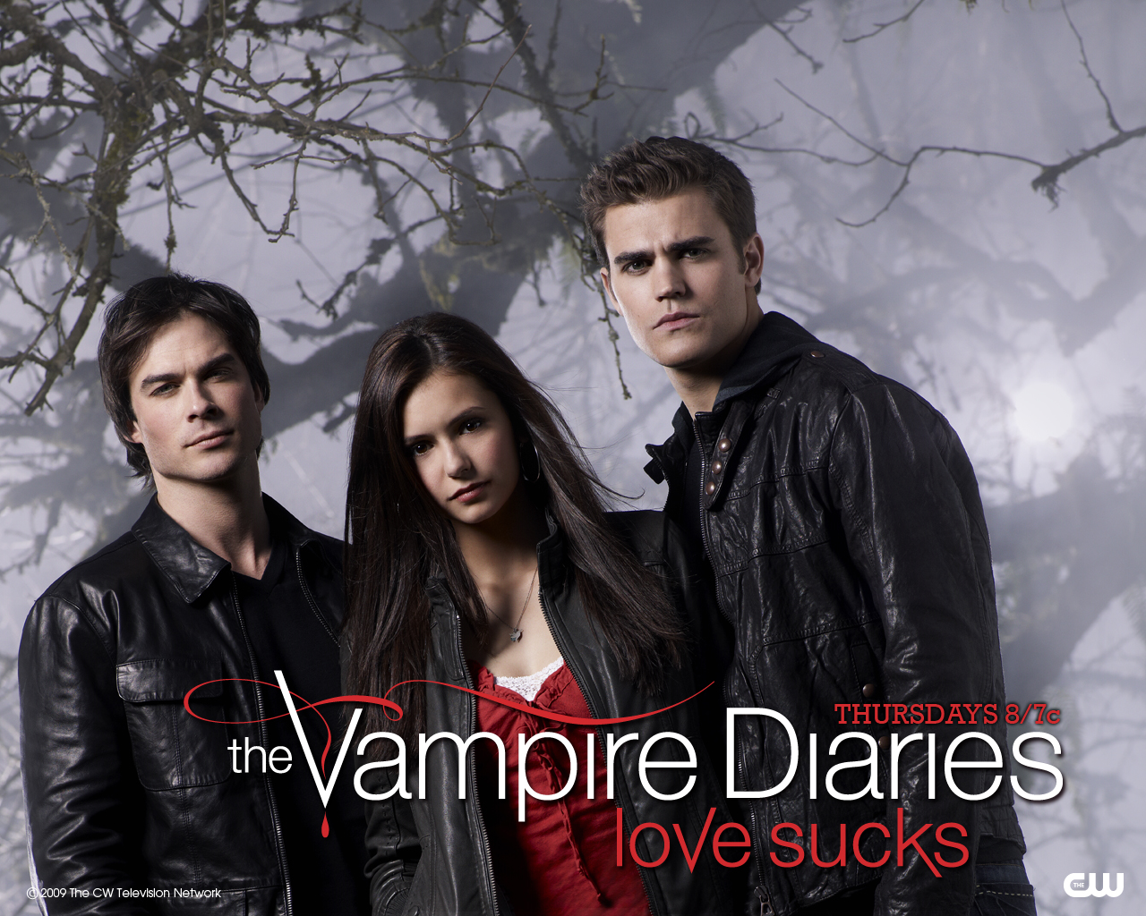  50 TVD Wallpapers WallpaperSafari