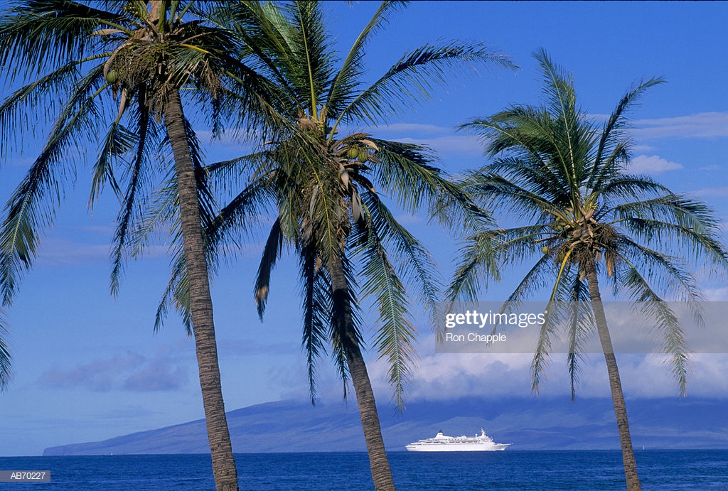 Palm Trees Cruise Ship In Background High Res Stock Photo Getty