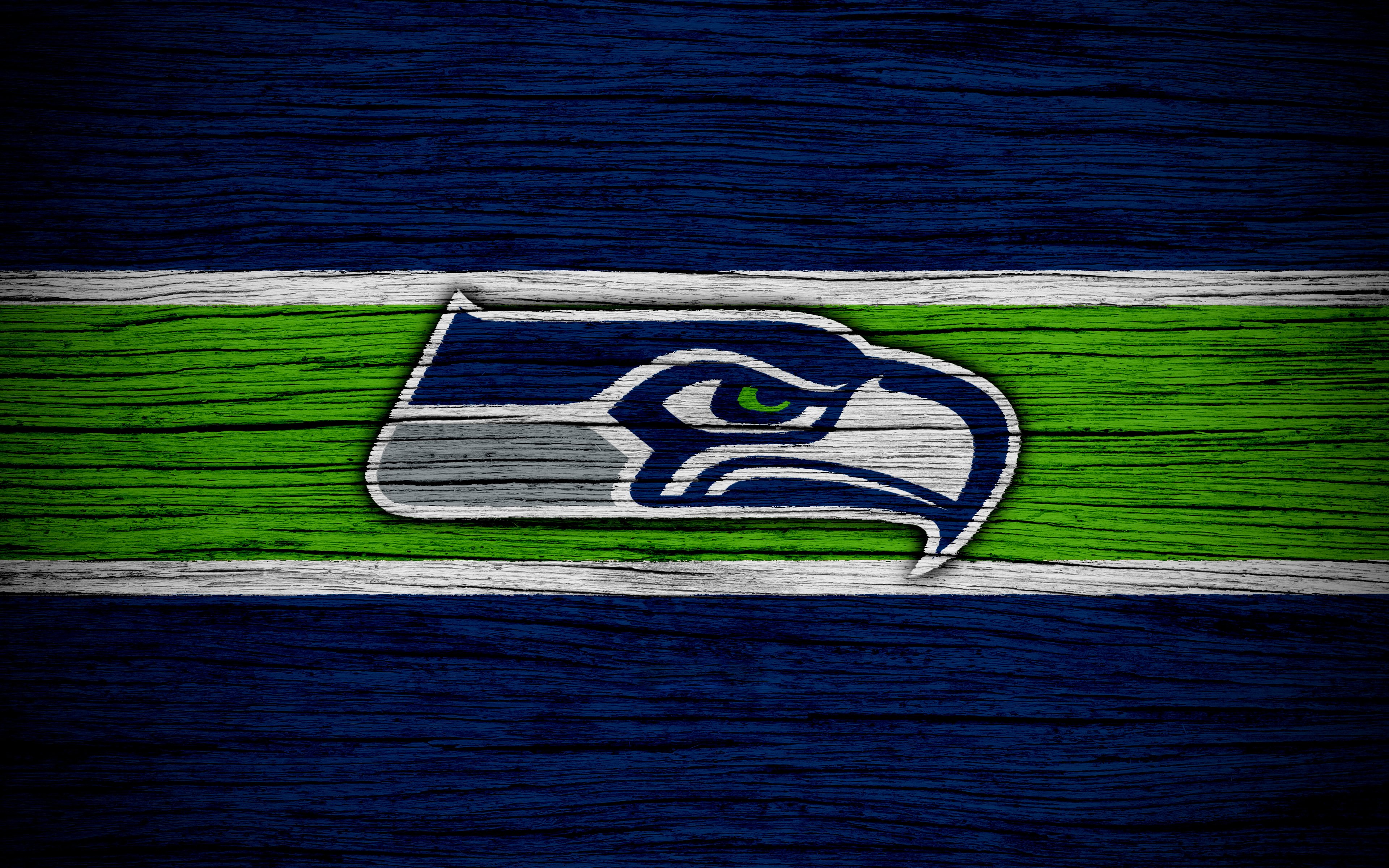 Seattle Seahawks 4k Ultra HD Wallpaper