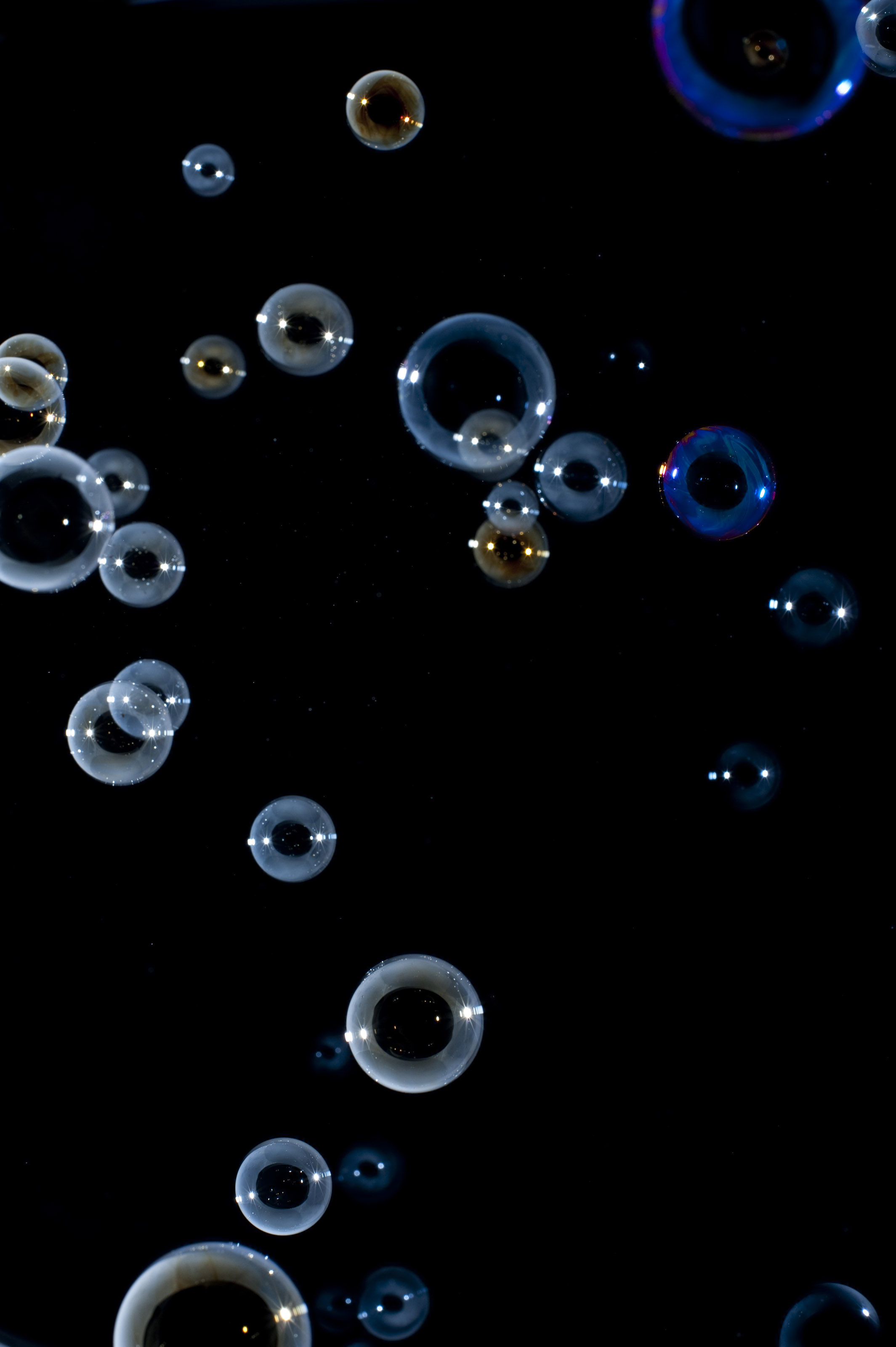 [39+] Floating Bubbles Wallpaper on WallpaperSafari