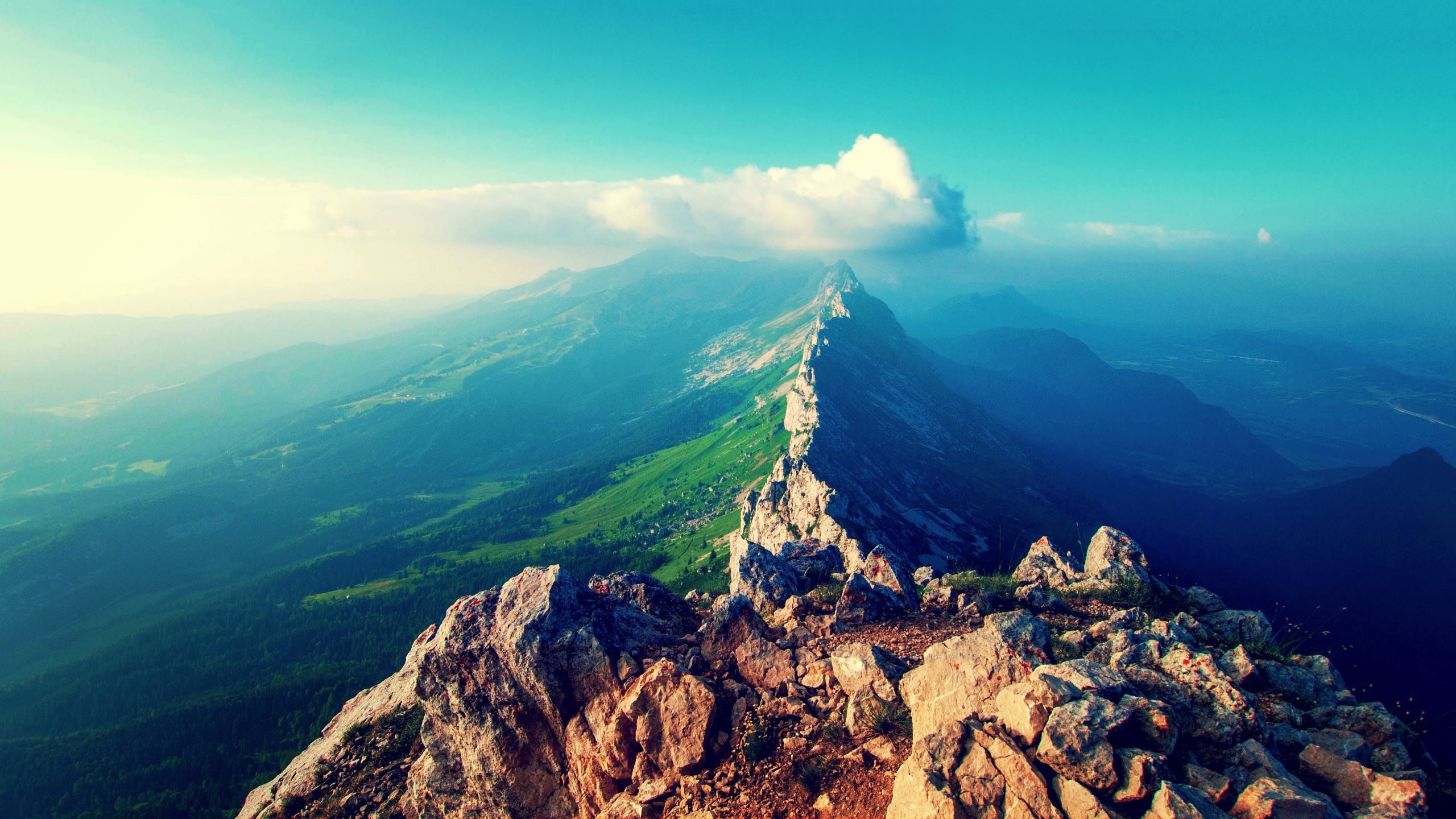 Panoramic Background Wallpaper