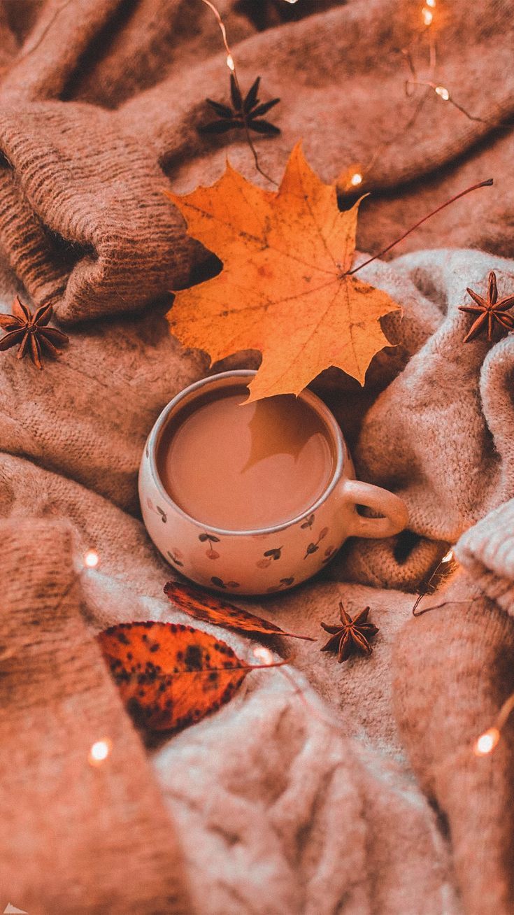 Fall vibes coffee and Sweater Iphone wallpaper fall Cute fall 735x1308
