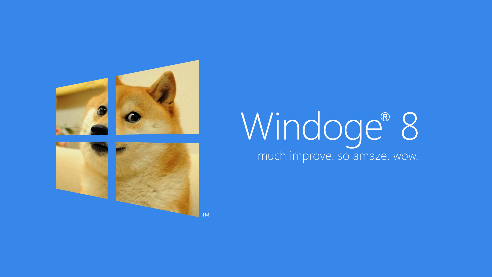 Doge Wallpaper 1920x1080 Images Pictures   Becuo