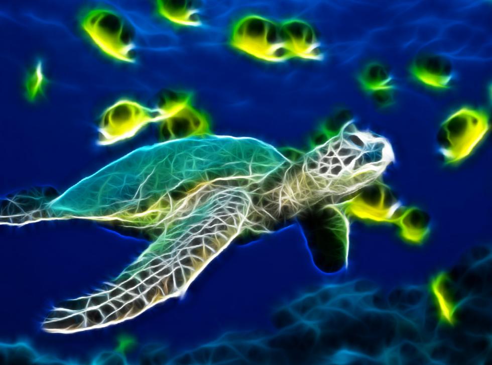 Sea Turtle Is A Unique Animated Wallpaper That Will Bring Turtles