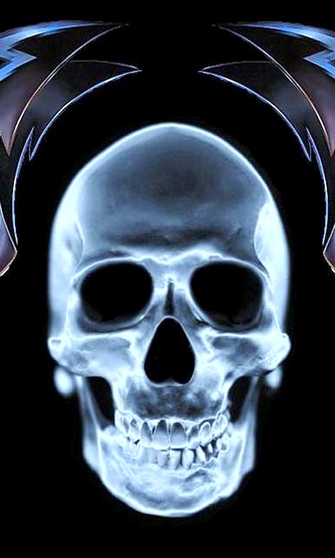 Skull Wallpaper Screensaver Pre Id