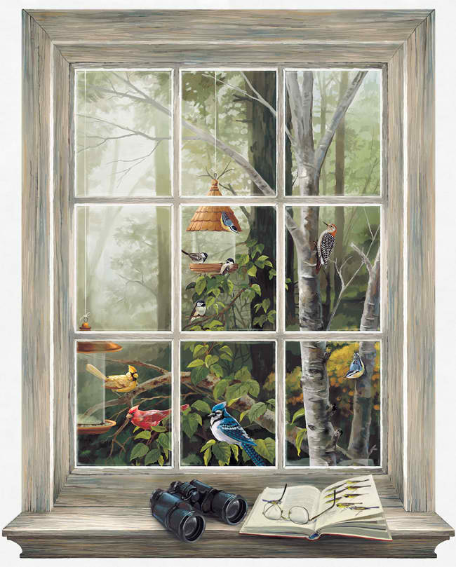 Bird Watching Window Wall Mural Murals Interiorplace