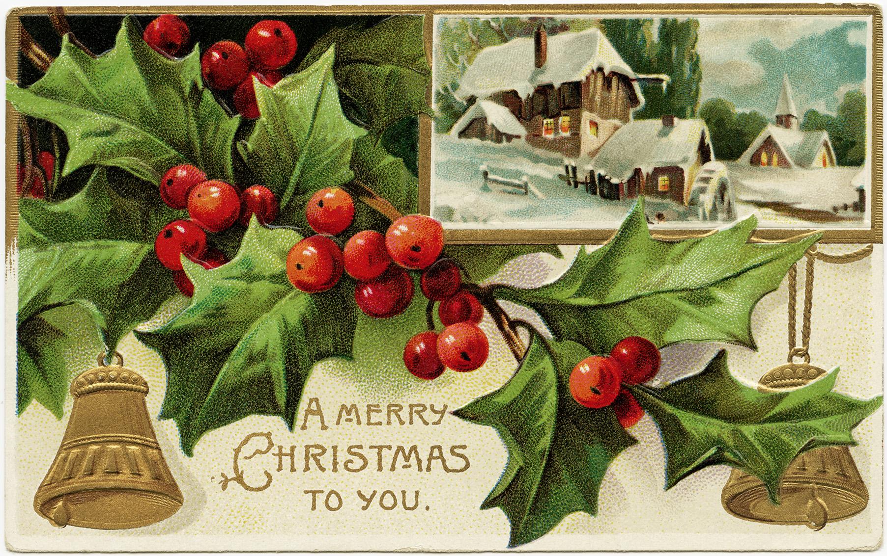 Holly and Berries Vintage Christmas Postcard Free Download