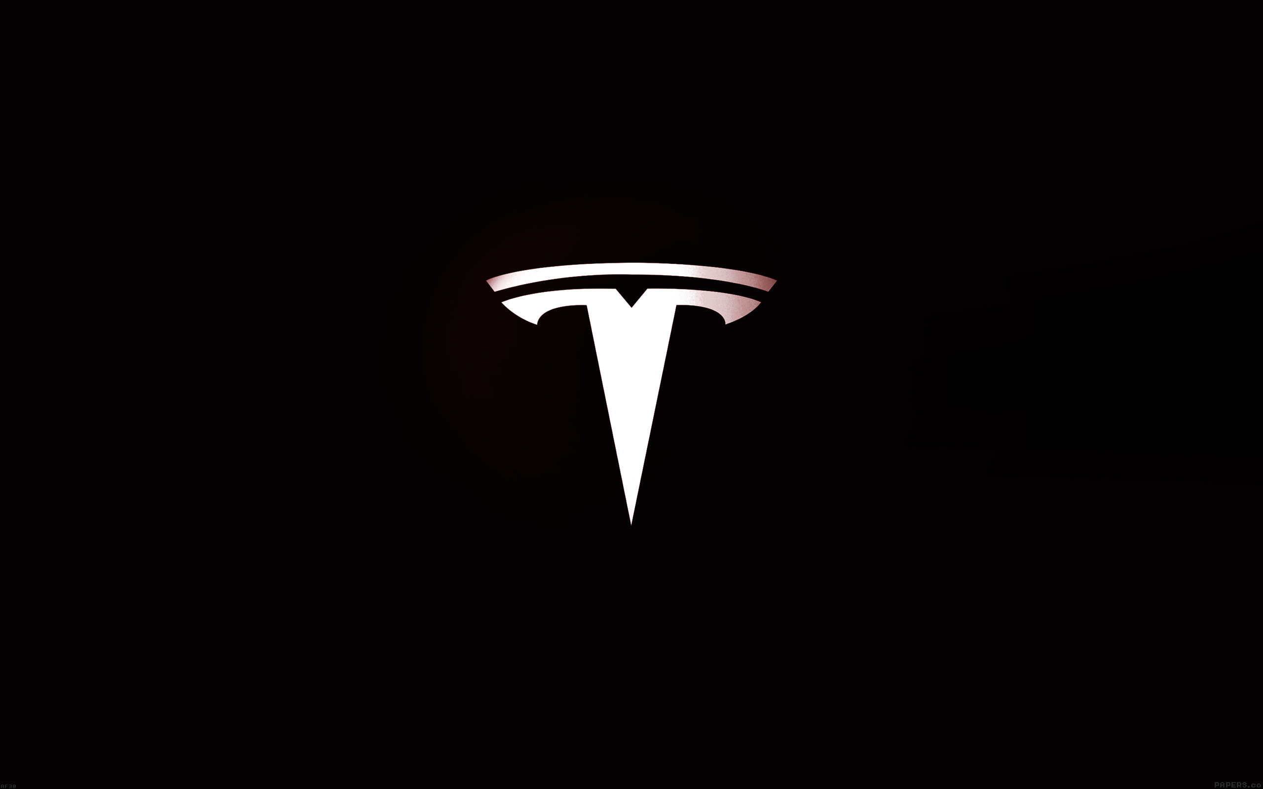 Tesla Logo Background Wallpaper 66062 2560x1600px