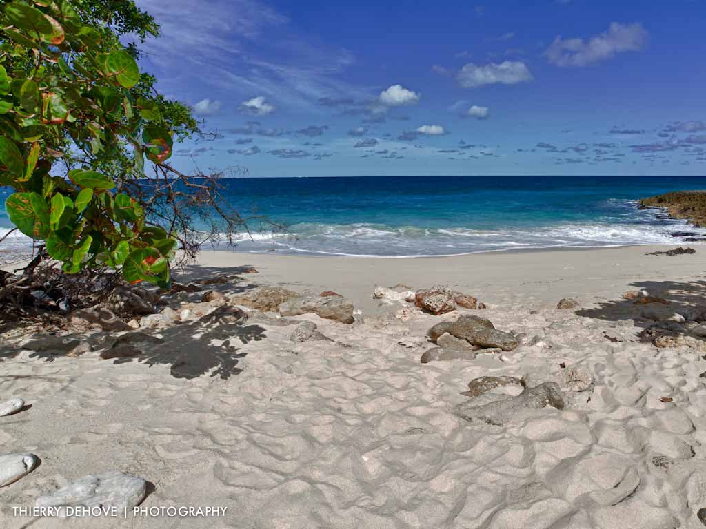 Tropical Beach Wallpaper HD In Imageci
