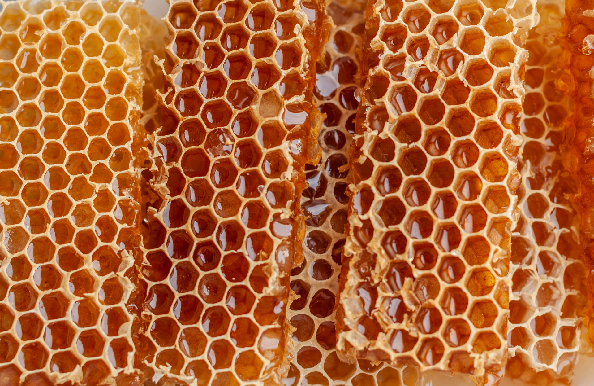 Honeycomb Wallpaper