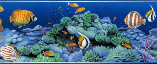 Blue Tropical Fish Wallpaper Border Oa72886fb