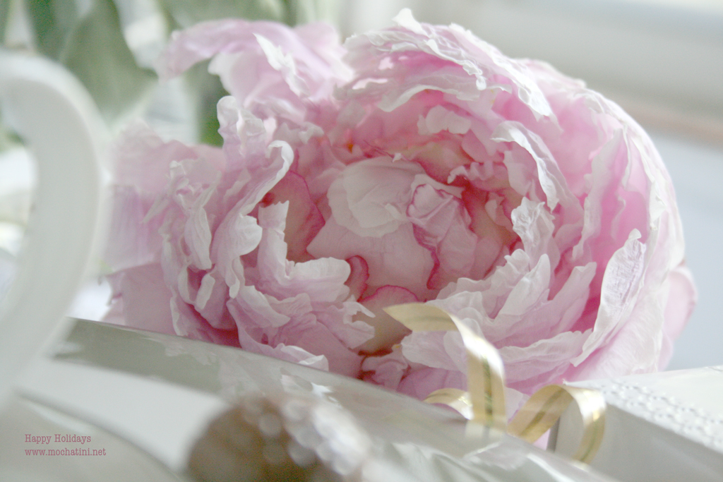 My Lovely Dears I Have A Peony Wallpaper From Picture