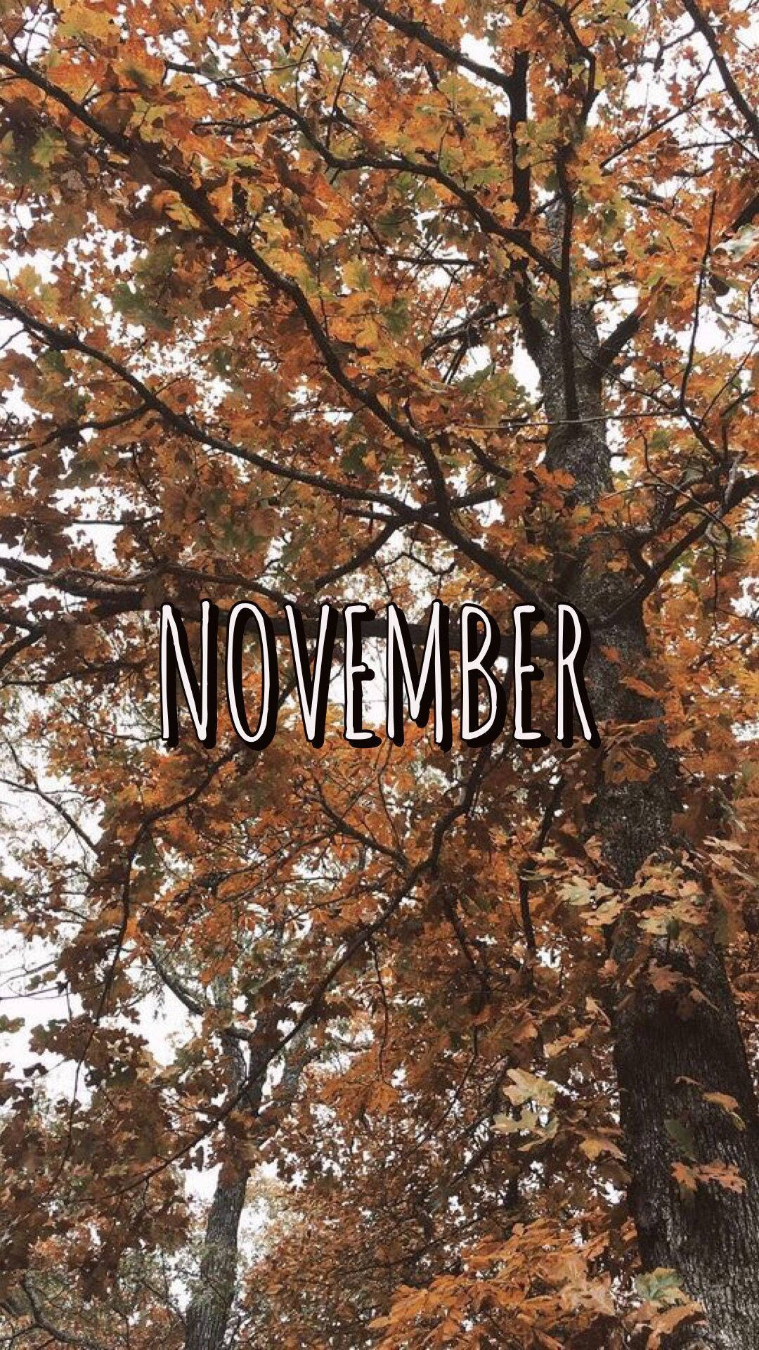 November iPhone Wallpaper