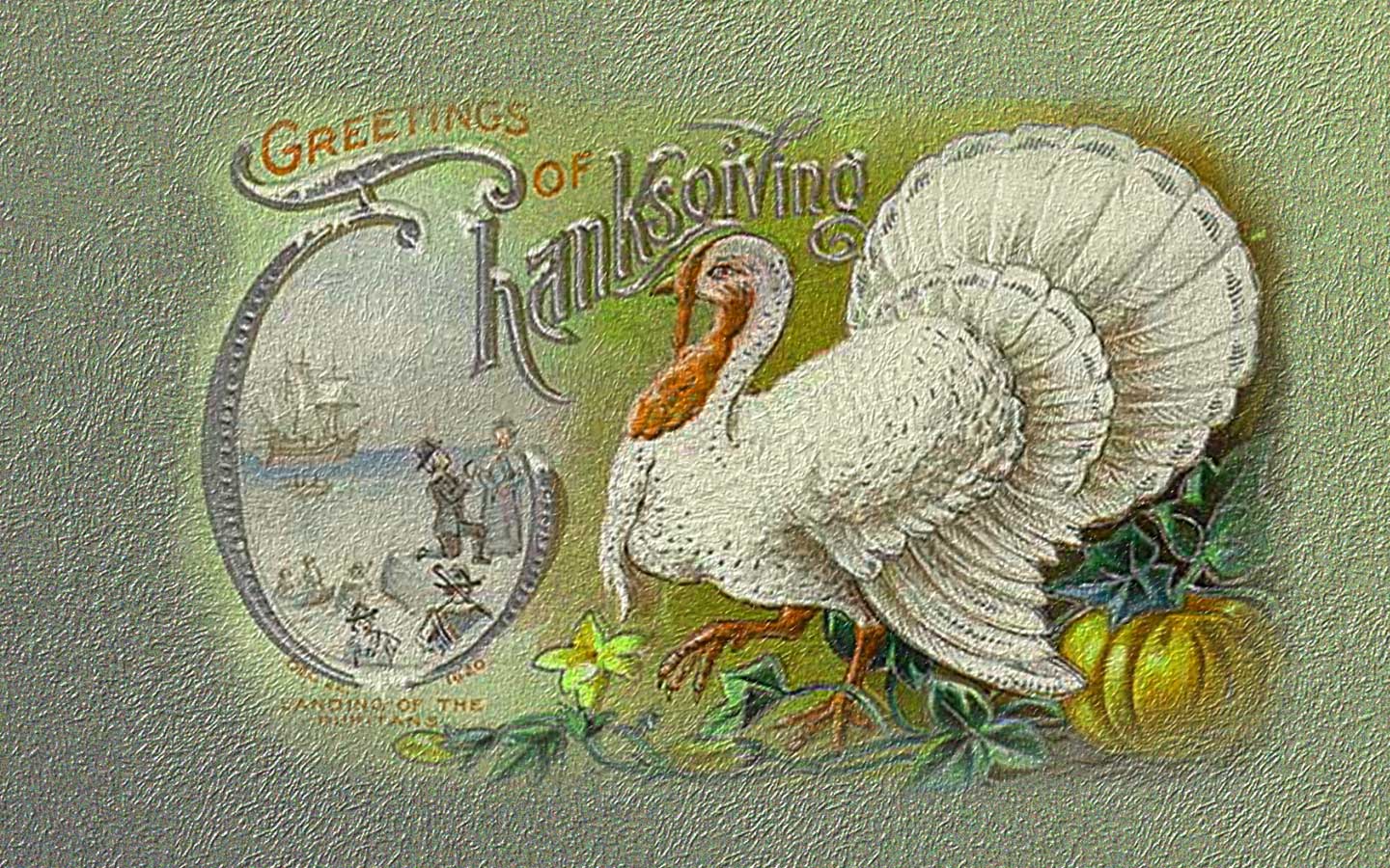 Cute Thanksgiving Turkey Wallpaper Ing Gallery