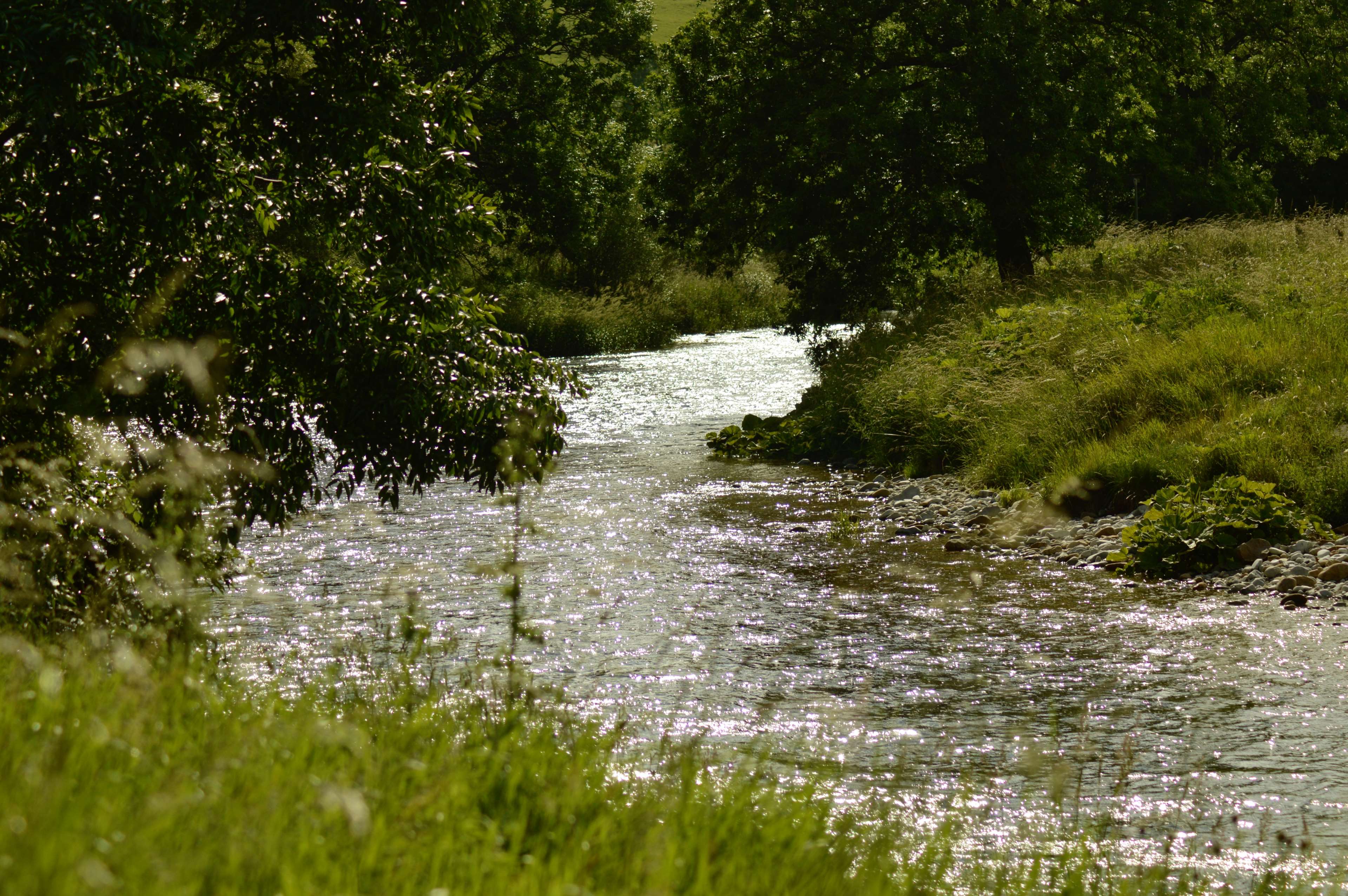 Bright River Riverbank Sparkling Stream Sunlight 4k