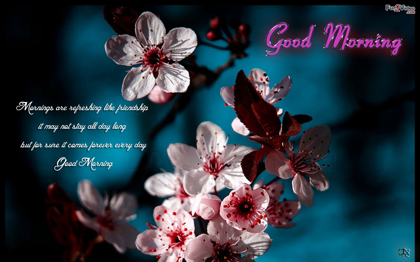 Good Morning Quote Browse Wallpaper Category Waiting For