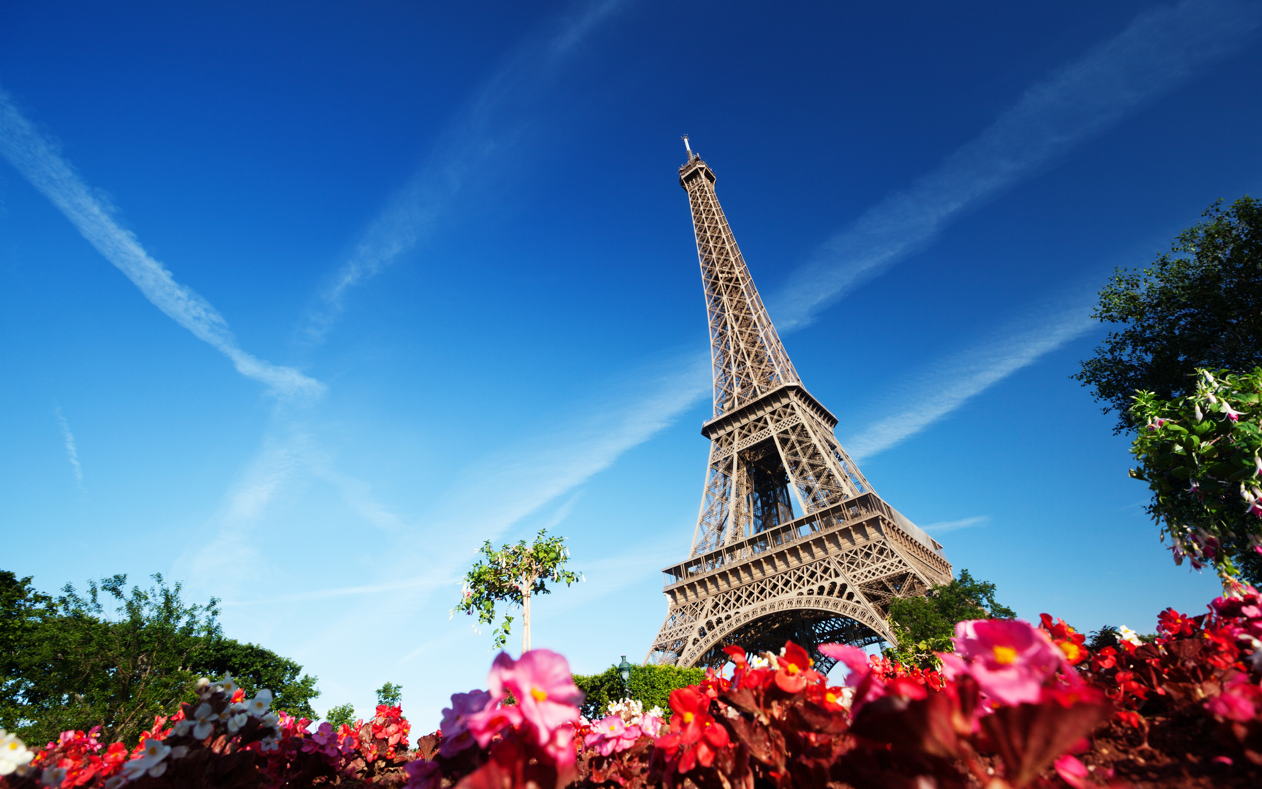 Eiffel Tower And Flowers Wallpaper Travel HD