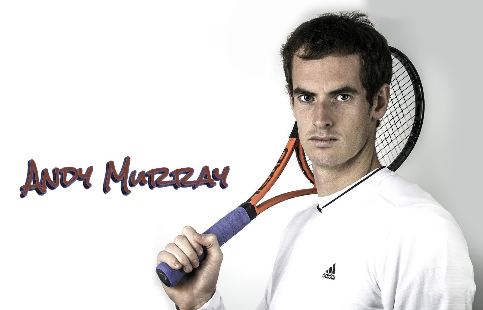 Andy Murray HD Wallpaper All Tennis Players